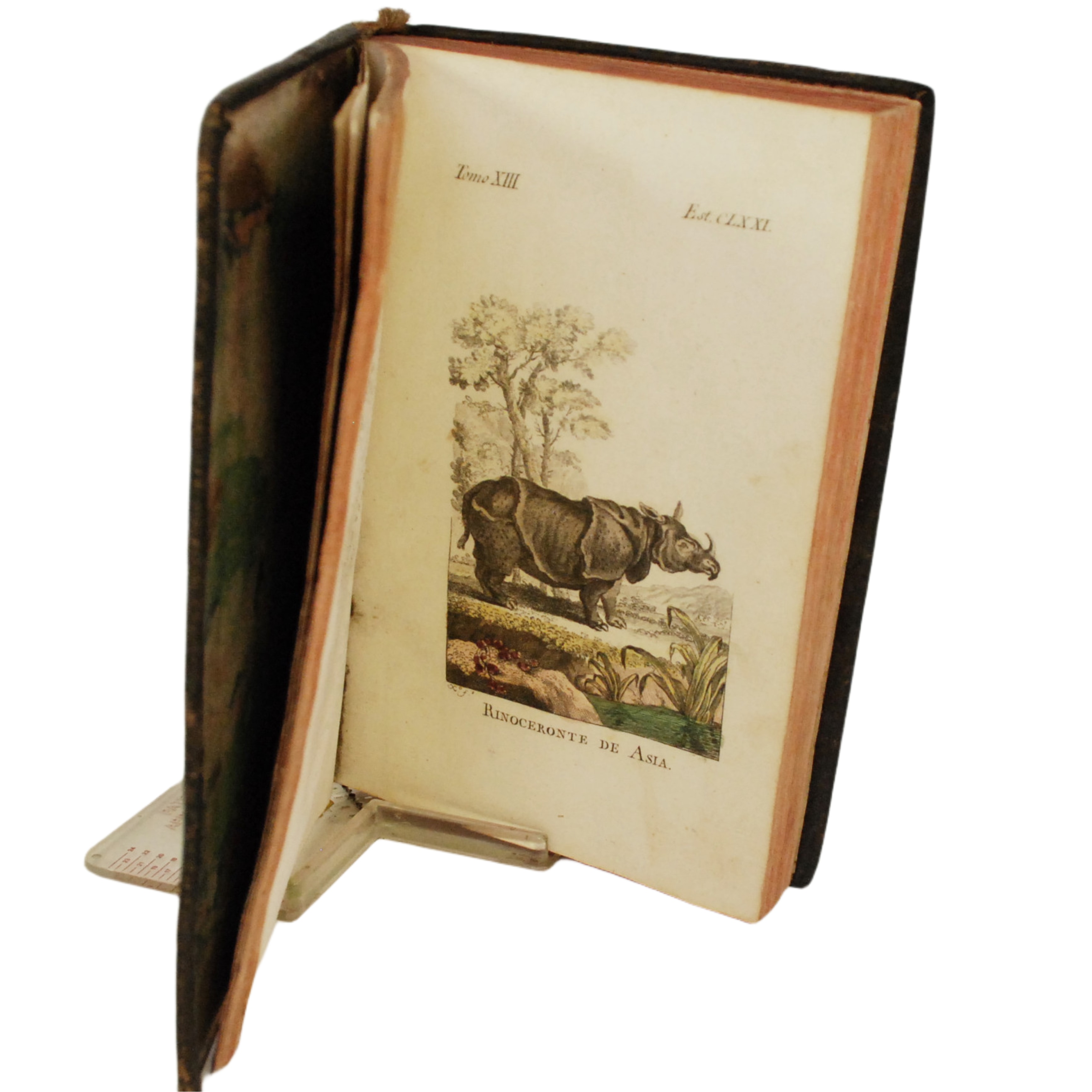 HISTORIA NATURAL GENERAL Y PARTICULAR, ESCRITA EN FRANCÉS POR EL CONDE DE BUFFON, ... Y TRADUCIDA POR JOSEPH CLAVIJO Y FAXARDO TOMO XIII