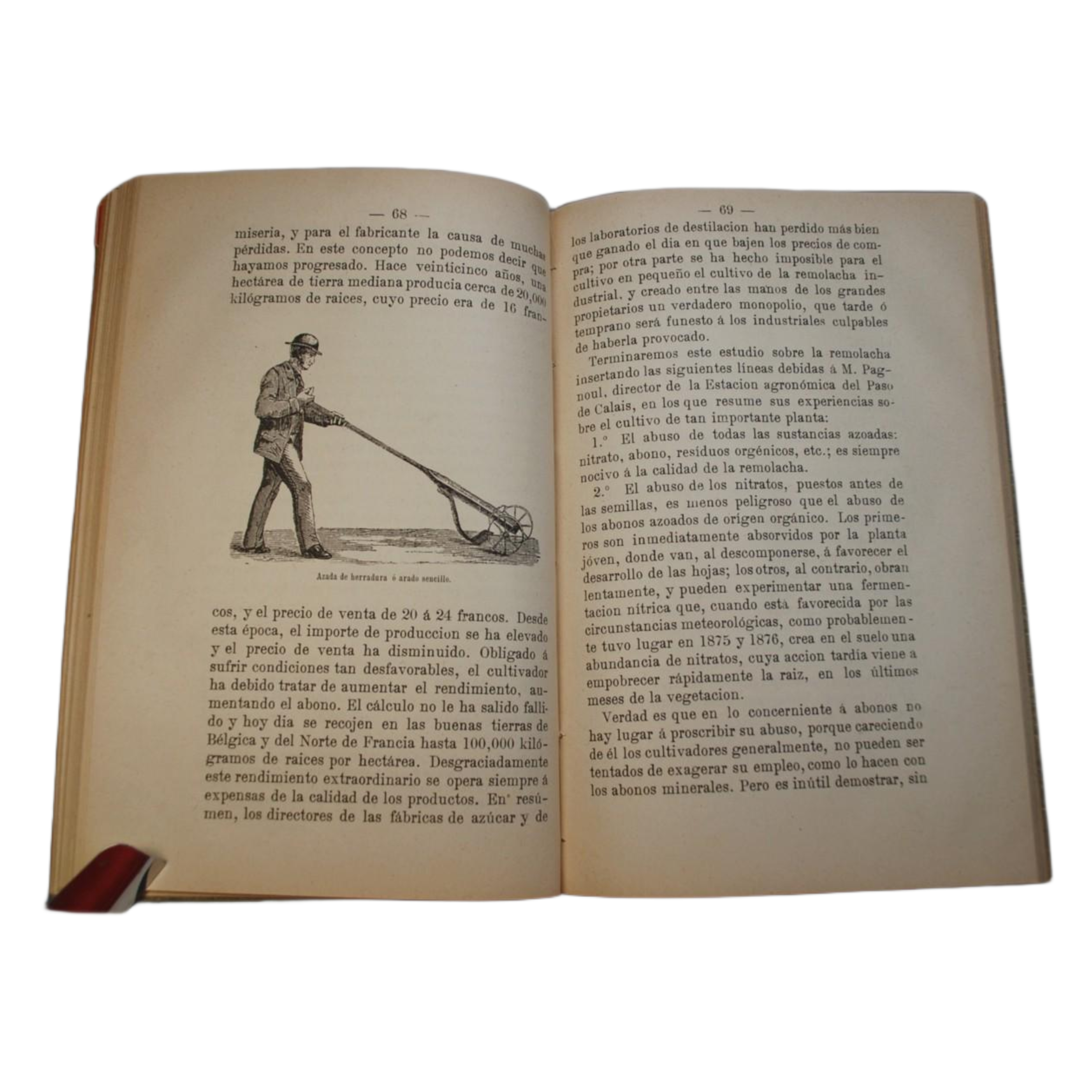 PLANTAS INDUSTRIALES: CULTIVO DE LA CAÑA DE AZUCAR, SORGO AZUCARADO Y REMOLACHA
