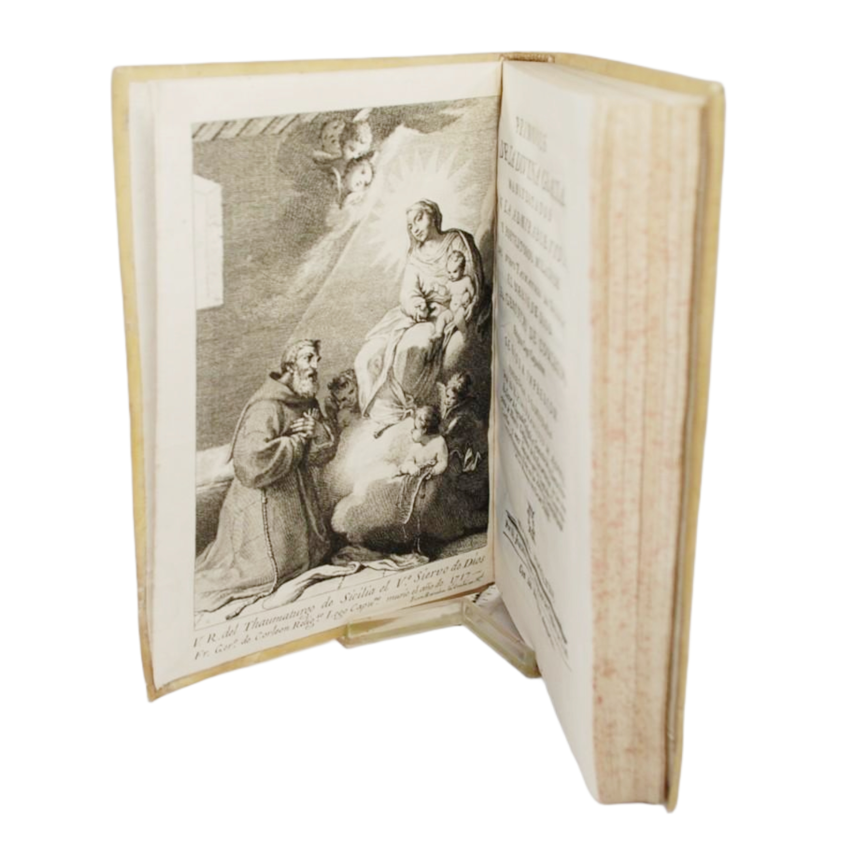 PRIMORES DE LA DIVINA GRACIA MANIFESTADOS EN LA ADMIRABLE VIDA, Y PORTENTOSOS MILAGROS DEL NUEVO TAUMATURGO DE SICILIA EL SIERVO DE DIOS FR. GERONYMO DE CORLEON, RELIGIOSO LEGO CAPUCHINO / POR FRANCISCO DE AJOFRIN, CRONISTA DE SU SANTA PROVINCIA DE M