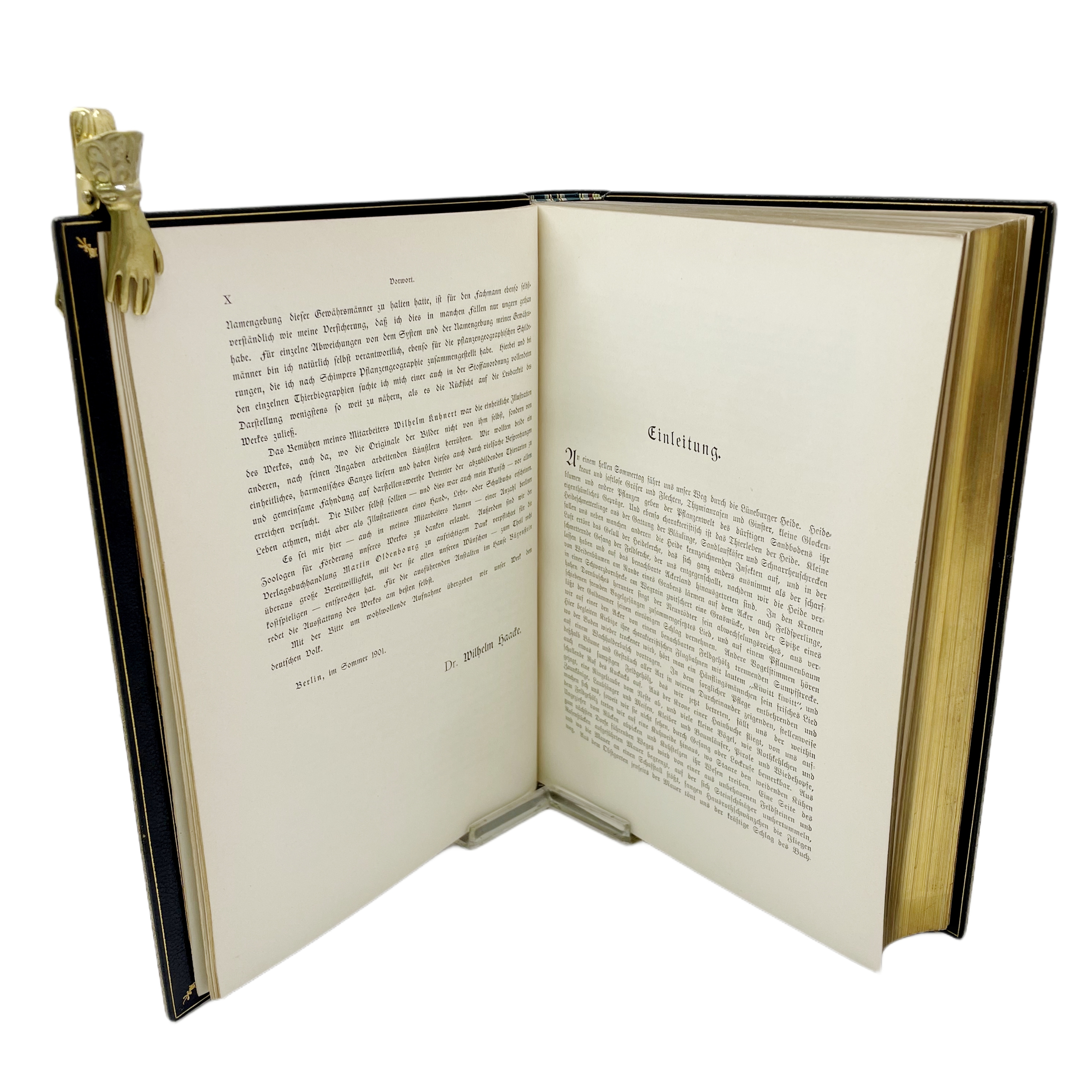 DAS THIERLEBEN DER ERDE.VON WILHELM HAACKE UND WILHELM KUHNERT MIT 120 FARBENDRUCKTAFELN UND 620 TEXTBILDERN.