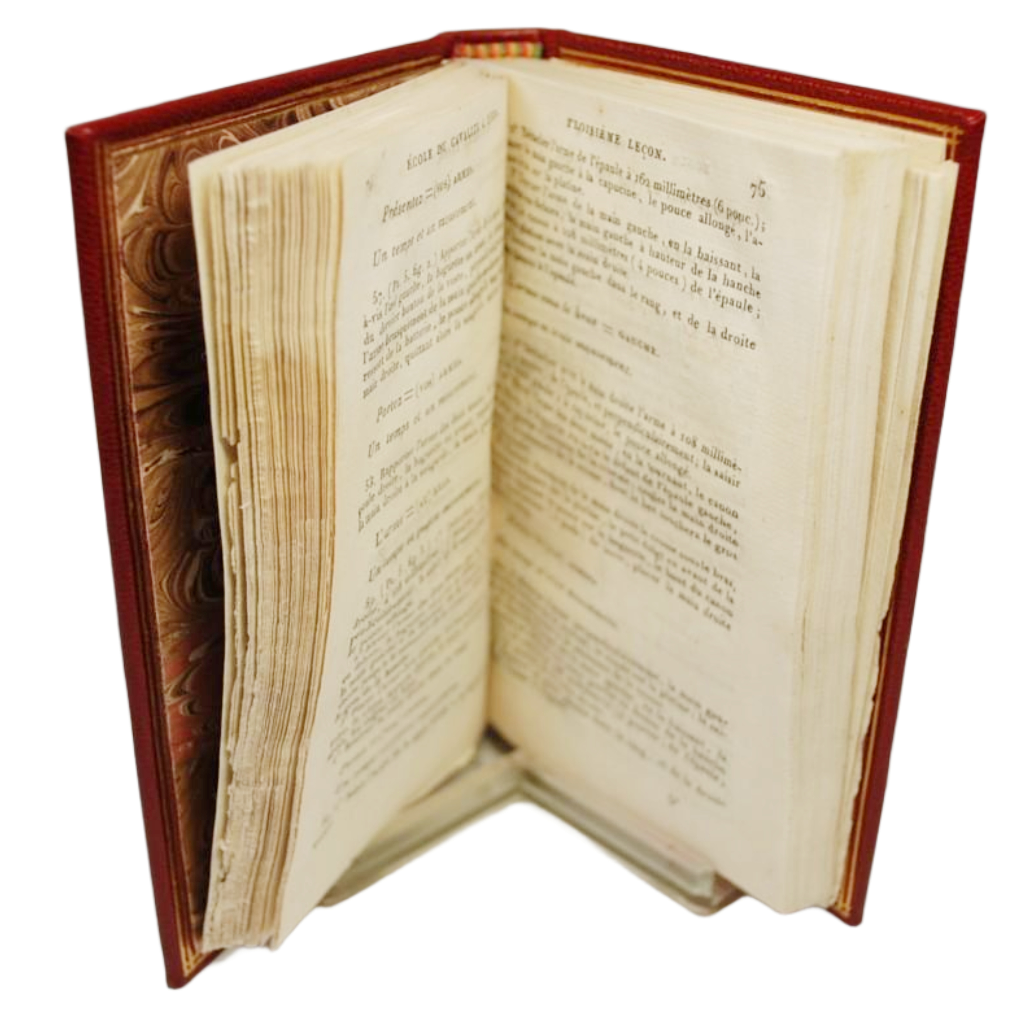 ECOLE DU CAVALIER A PIED ET A CHEVAL