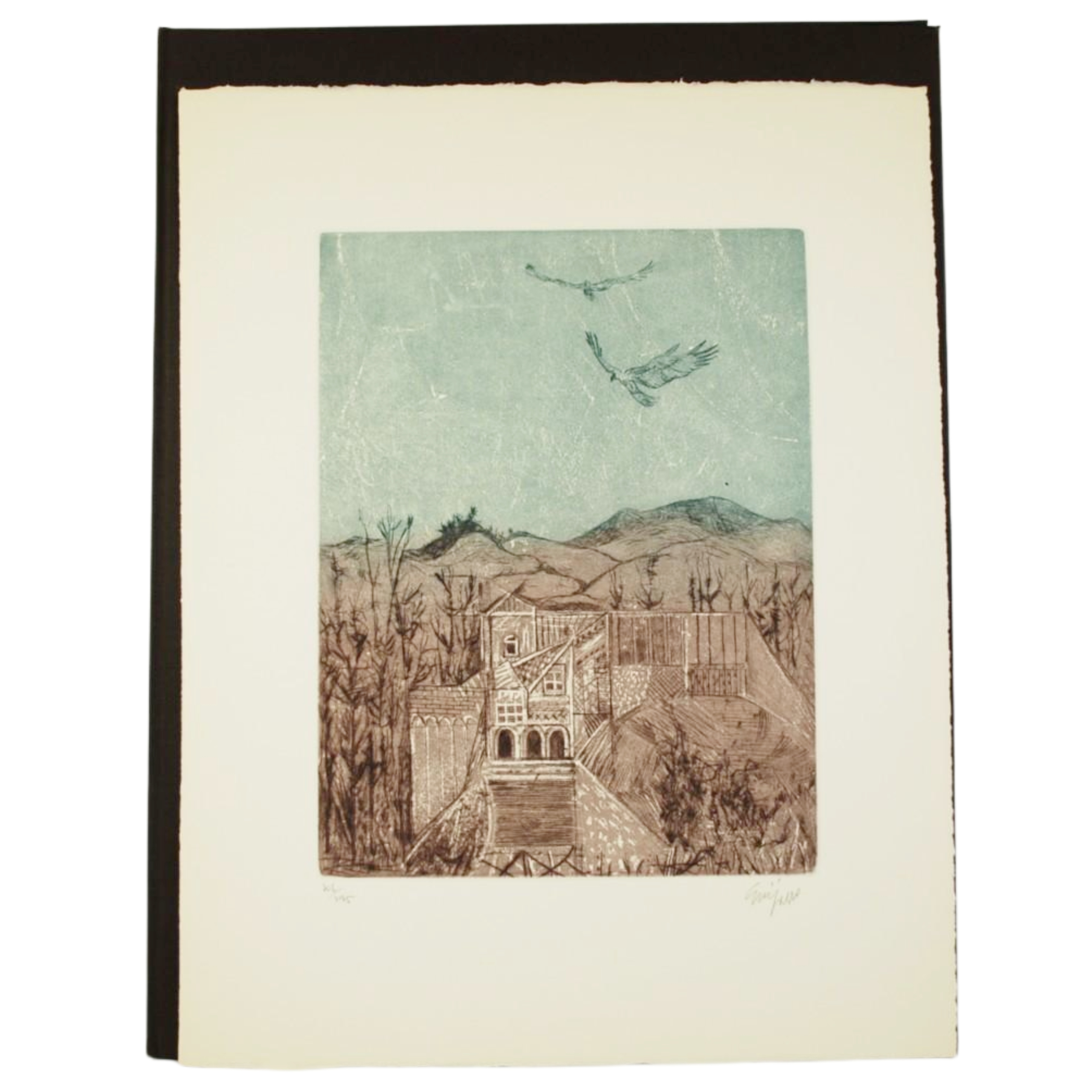 LAS ÁGUILAS CON OCHO GRABADOS AL AGUAFUERTE, AL AGUATINTA Y A LA PUNTA SECA REALIZADOS SOBRE LA PLANCHA POR ANTONIO GUIJARRO. INTRODUCCIÓN POR VICENTE RAMOS