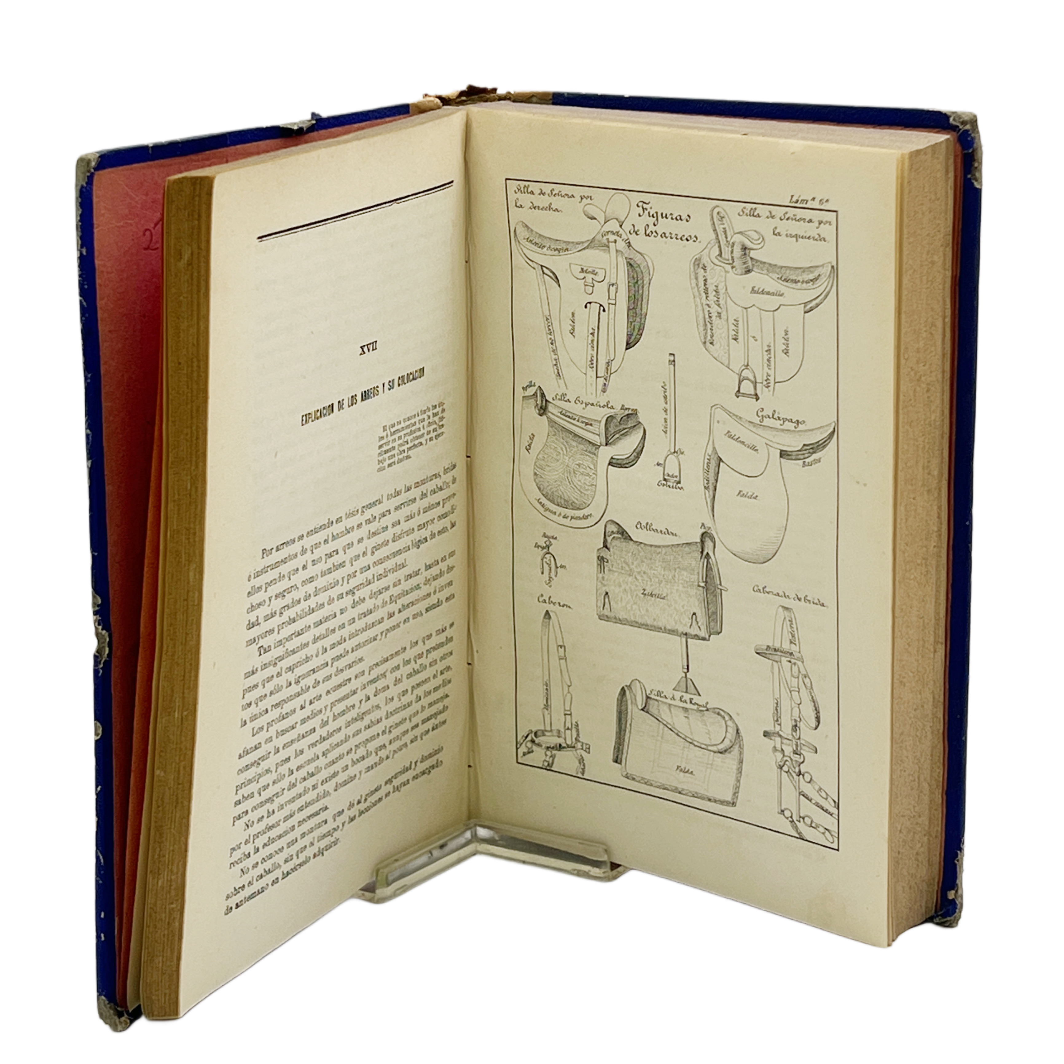 OBRA COMPLETA DE EQUITACIÓN. LA MÁS EXTENSA PUBLICADA HASTA EL DÍA, DIVIDIDA EN DOS TOMOS O SERIES Y CADA SERIE EN DOS CURSOS, ARREGLADA PARA QUE PUEDA SERVIR DE TEXTO EN CUALQUIER CENTRO DE INSTRUCCIÓN.