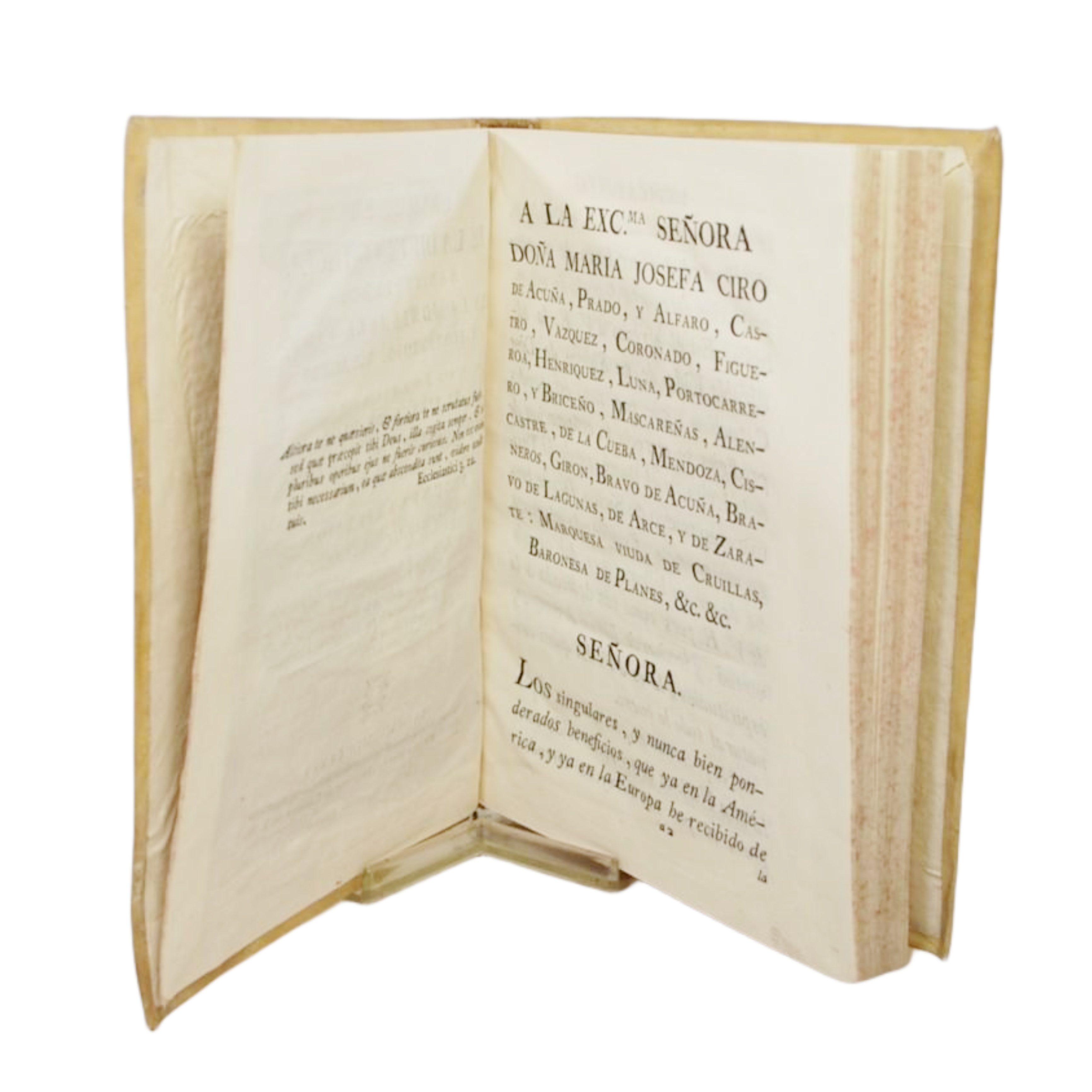 PRIMORES DE LA DIVINA GRACIA MANIFESTADOS EN LA ADMIRABLE VIDA, Y PORTENTOSOS MILAGROS DEL NUEVO TAUMATURGO DE SICILIA EL SIERVO DE DIOS FR. GERONYMO DE CORLEON, RELIGIOSO LEGO CAPUCHINO / POR FRANCISCO DE AJOFRIN, CRONISTA DE SU SANTA PROVINCIA DE M