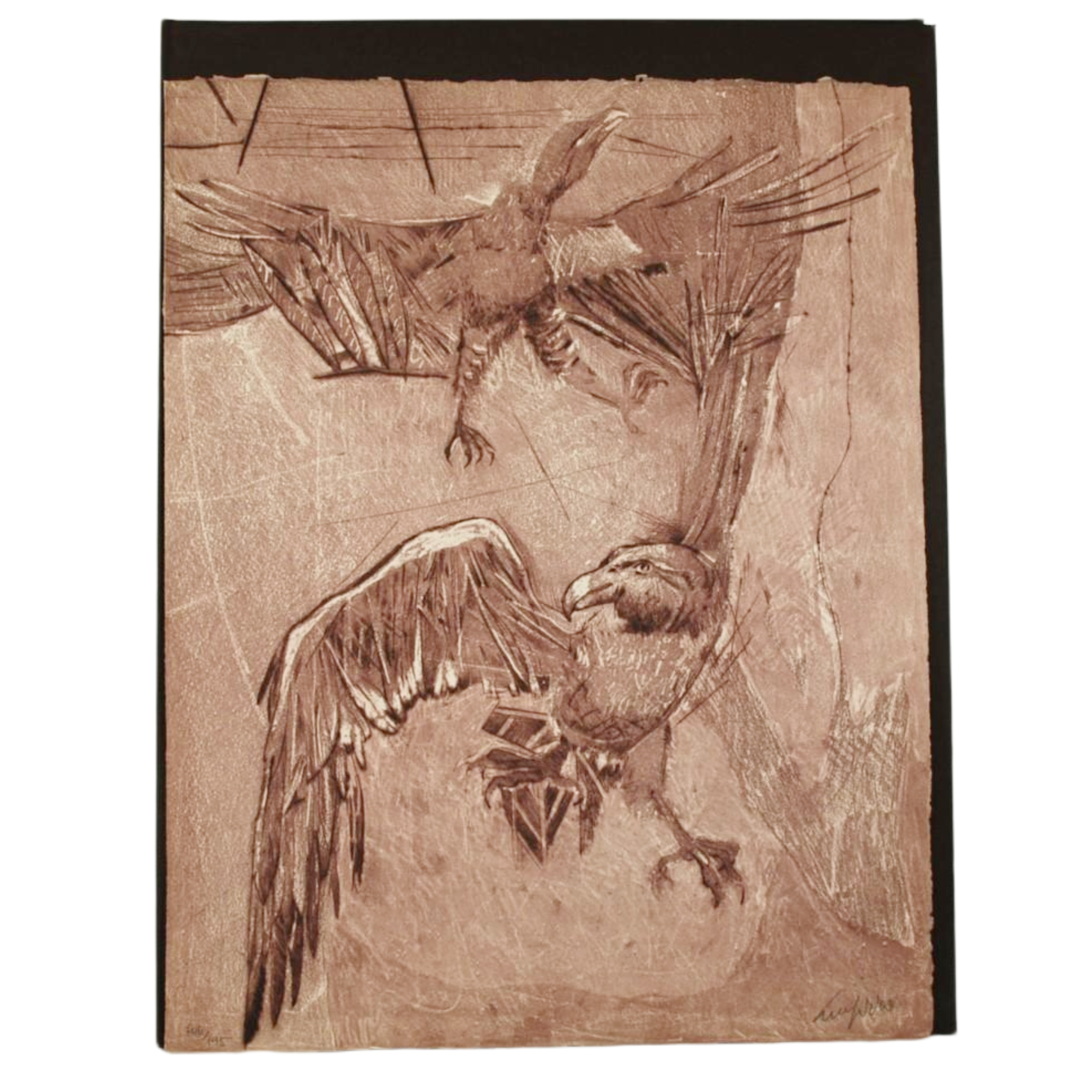 LAS ÁGUILAS CON OCHO GRABADOS AL AGUAFUERTE, AL AGUATINTA Y A LA PUNTA SECA REALIZADOS SOBRE LA PLANCHA POR ANTONIO GUIJARRO. INTRODUCCIÓN POR VICENTE RAMOS