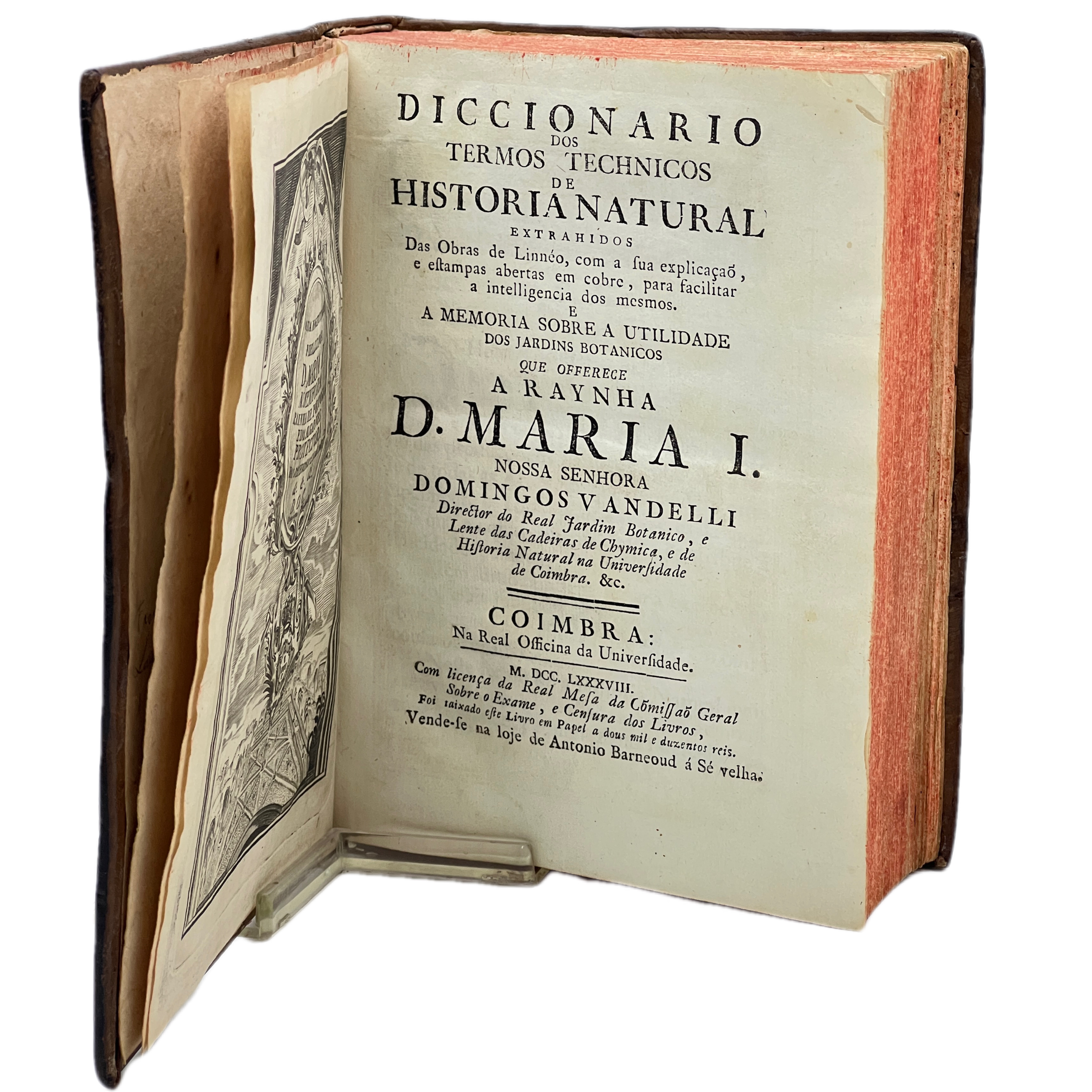 DICCIONARIO DOS TERMOS TECHNICOS DE HISTORIA NATURAL EXTRAHIDOS DAS OBRAS DE LINNEO, COM A SUA EXPLICAÇAO E ESTAMPAS ABERTAS EM COBRE ... ENCUADERNADO JUNTO CON, FLORAE LUSITANICAE ET BRASILENSIS SPECIMEN...
