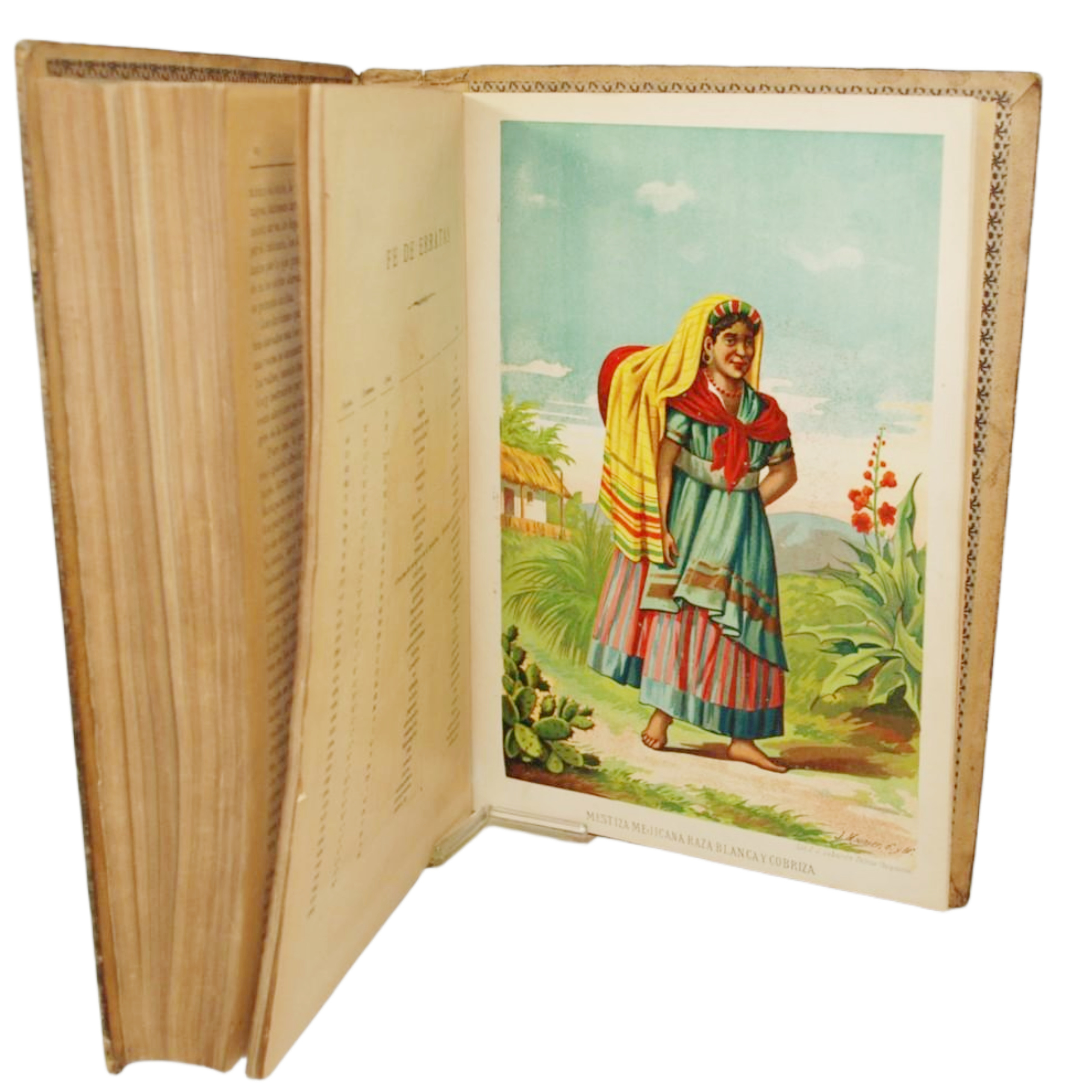 LA NATURALEZA. HISTORIA NATURAL DEL PLANETA TIERRA CON LA DESCRIPCIÓN DE LOS SERES ORGÁNICOS QUE LA PUEBLAN Y LOS INORGÁNICOS QUE FORMAN SU MASA, COMPRENDIENDO LA ANTROPOLOGÍA, ZOOLOGÍA, BOTÁNICA, GEOLOGÍA Y MINERALOGÍA, ...