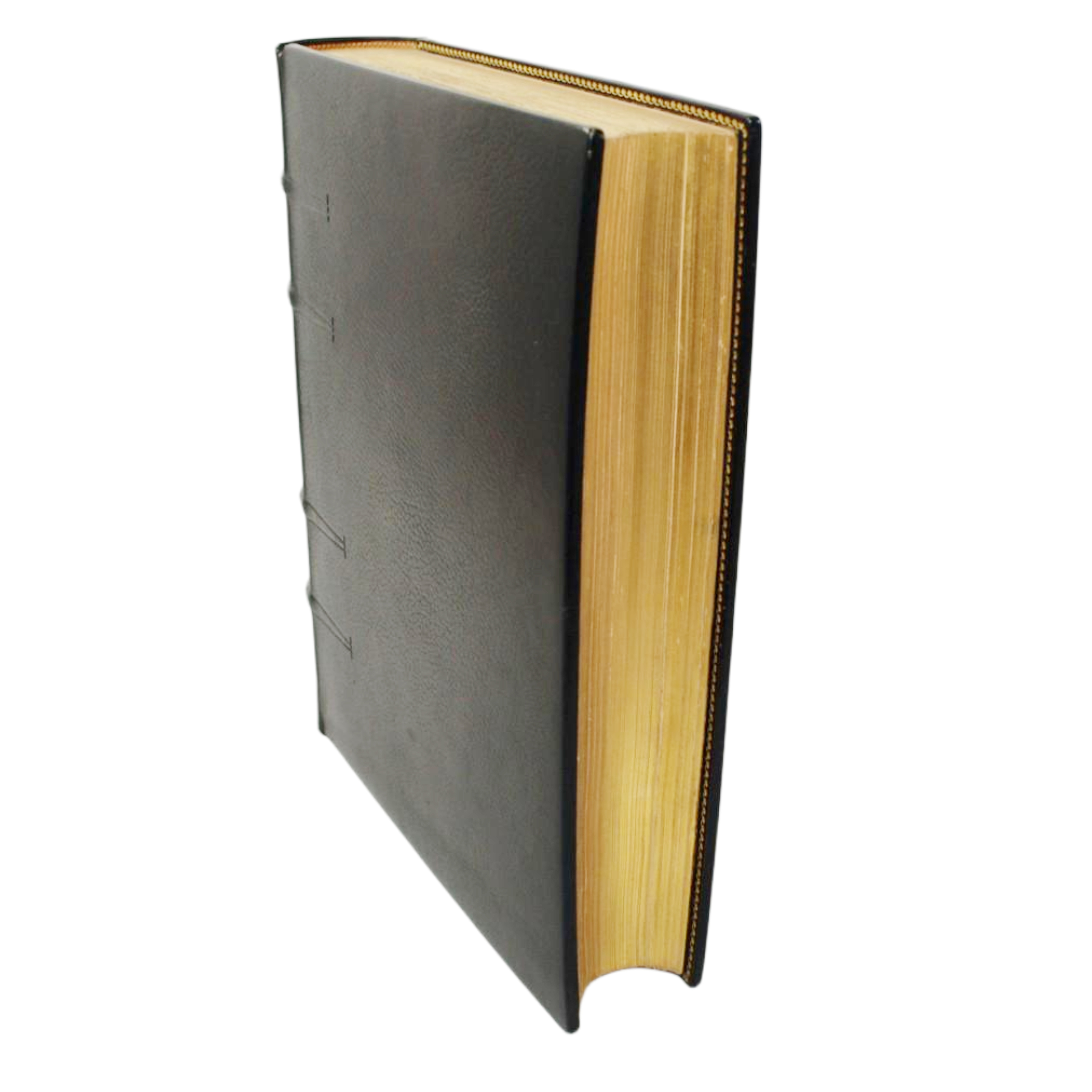 LES GRANDES SANCTUARIES DE LA TRÈS SAINTE VIERGE EN FRANCE PAR LE R.P. FRED. ROUVIER DE LA COMPAGNIE DE JESÚS