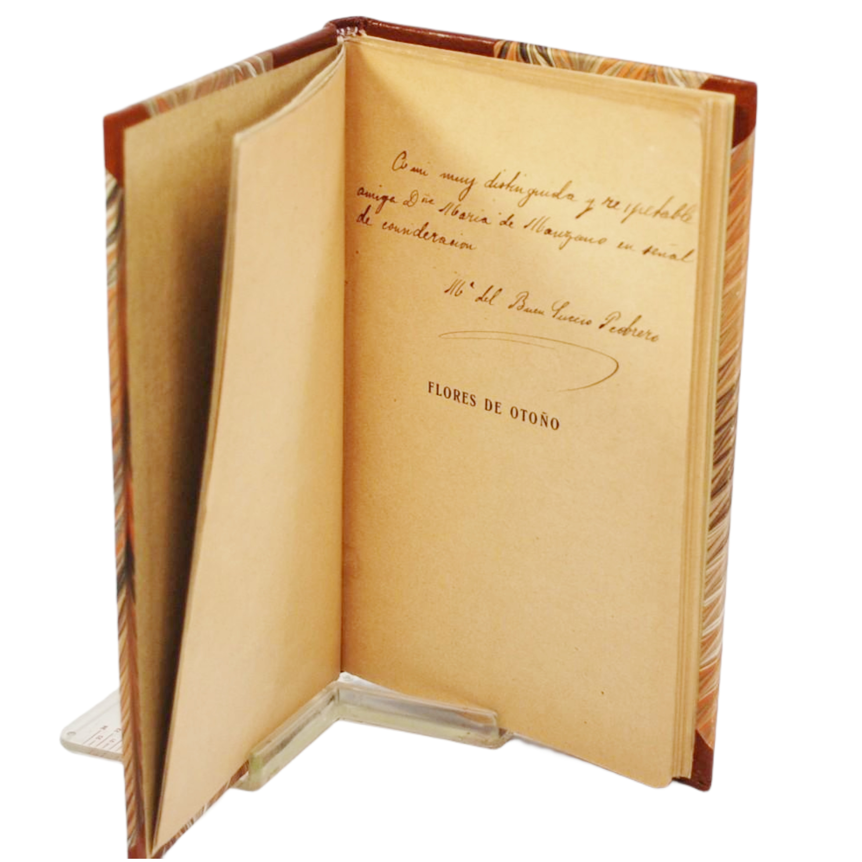 Mª DEL BUEN SUCESO - FLORES DE OTOÑO (1ª EDICIÓN) - 1909