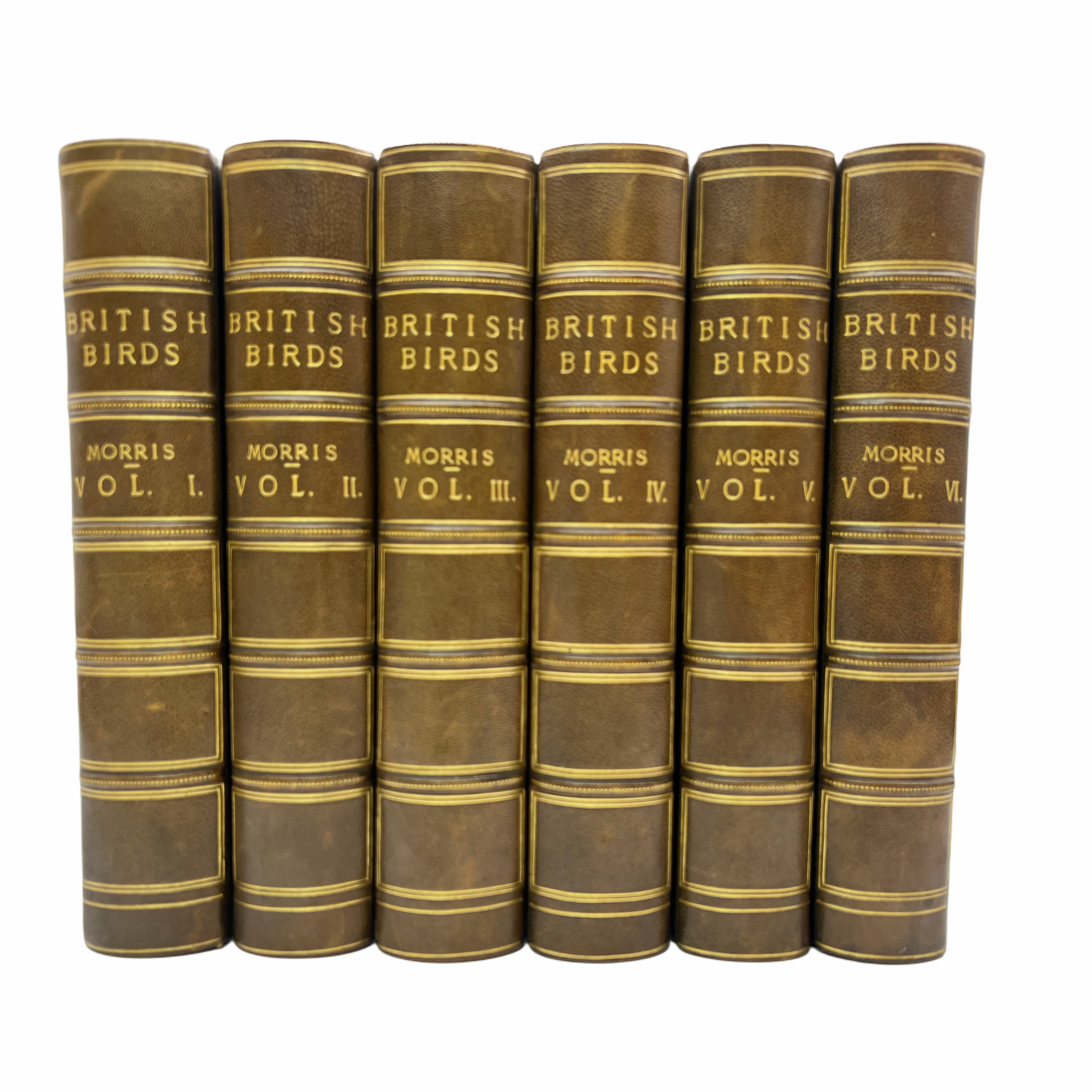 A HISTORY OF BRITISH BIRDS BY THE REV. F. O. MORRIS B. A., MEMBER OF THE ASHMOLEAN SOCIETY