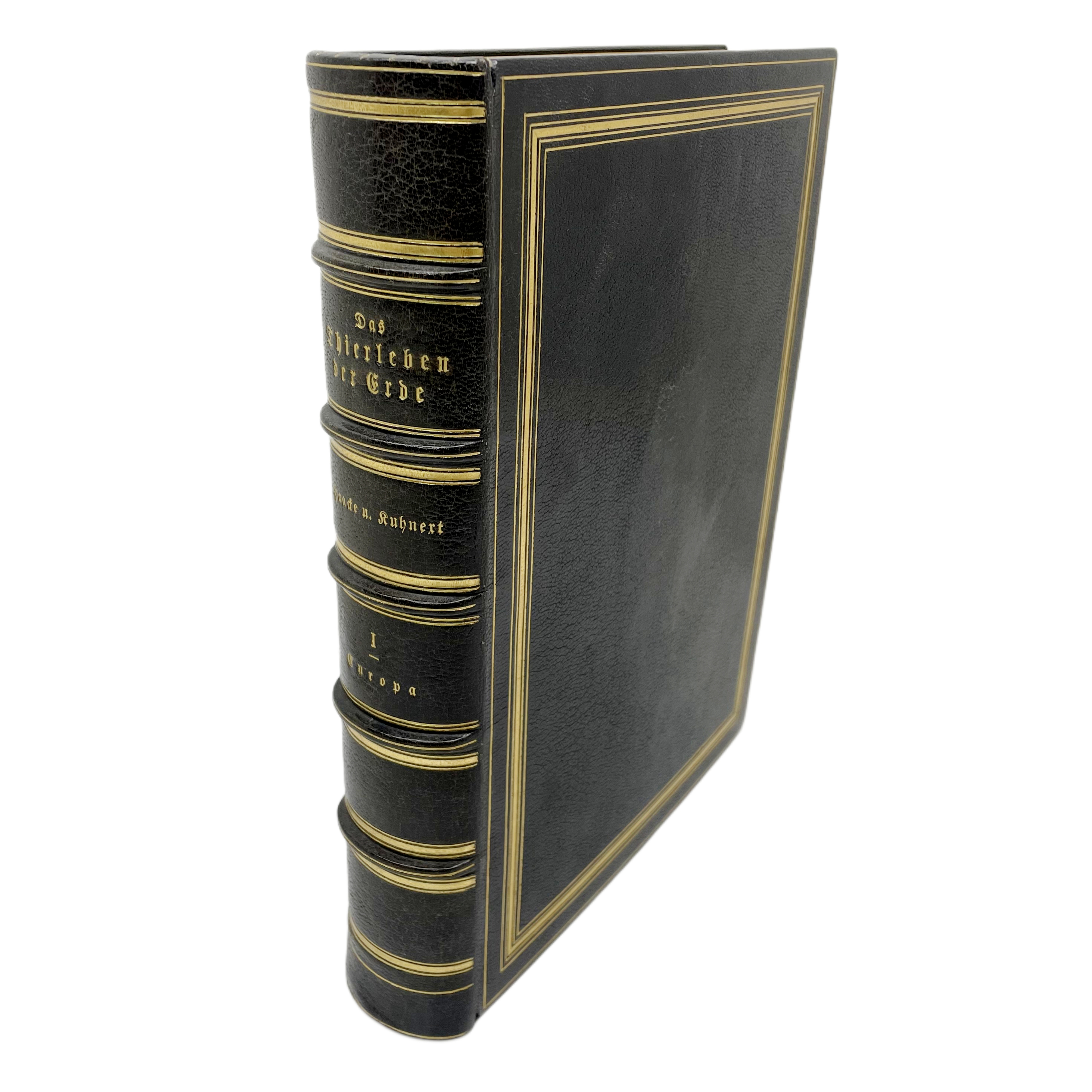 DAS THIERLEBEN DER ERDE.VON WILHELM HAACKE UND WILHELM KUHNERT MIT 120 FARBENDRUCKTAFELN UND 620 TEXTBILDERN.