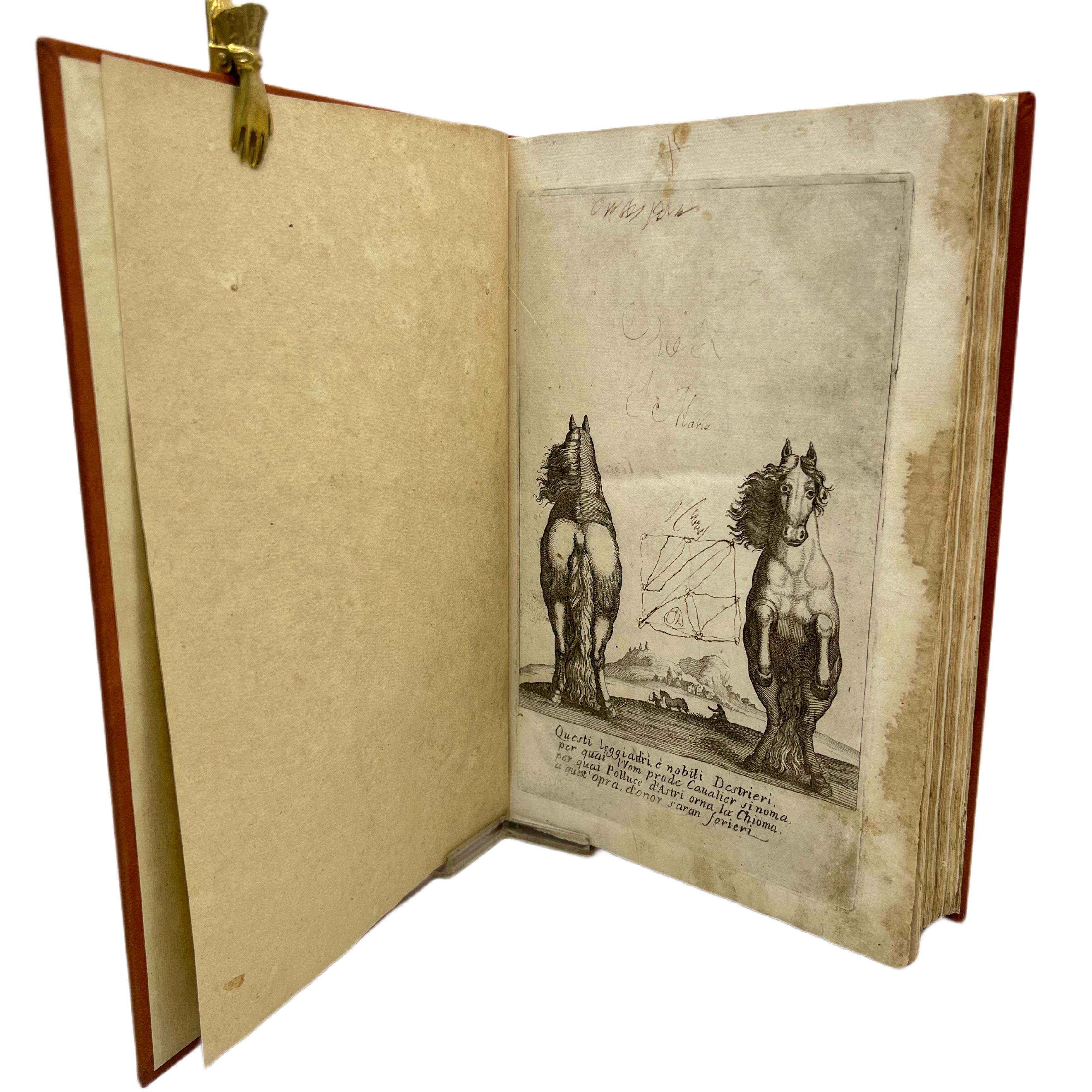 PIETRA PARAGONE DE' CAVALIERI... DIVISA IN CINQUE LIBRI.