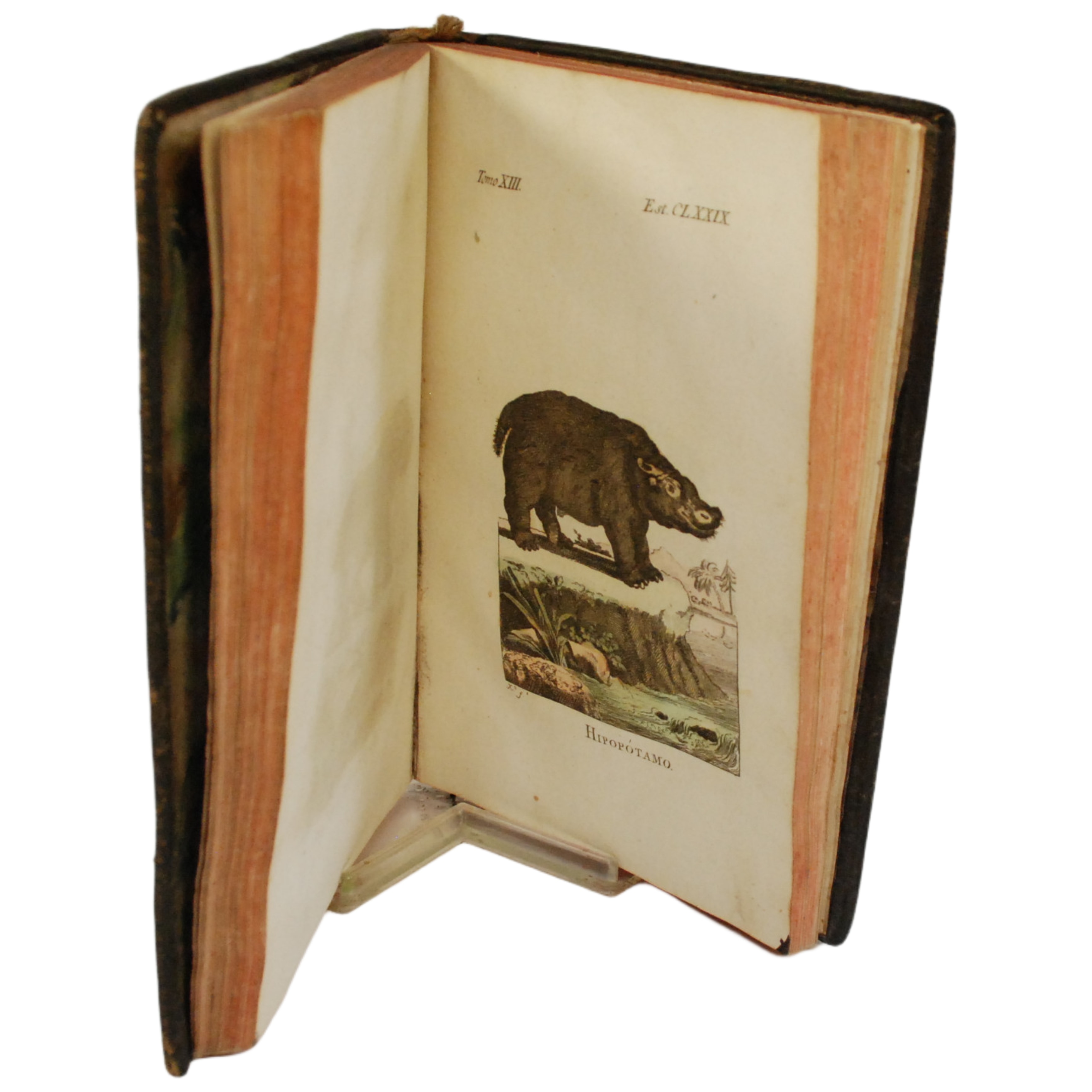 HISTORIA NATURAL GENERAL Y PARTICULAR, ESCRITA EN FRANCÉS POR EL CONDE DE BUFFON, ... Y TRADUCIDA POR JOSEPH CLAVIJO Y FAXARDO TOMO XIII