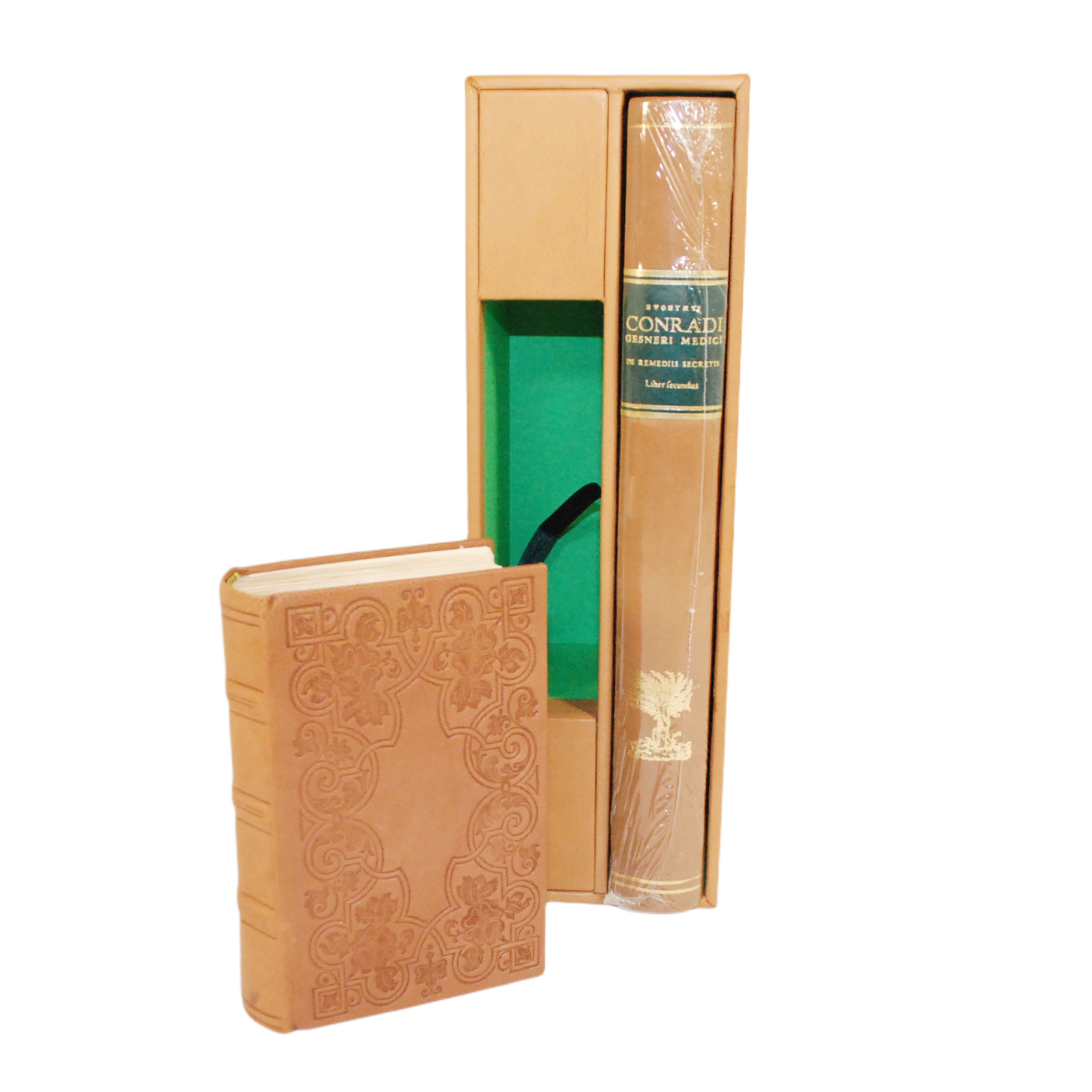 CONRADI GESNERI MEDICI ET PHILOSOPHI TIGURINI DE REMEDIS SECRETIS, LEBER SECUNDUS (THESAURUS DE REMEDIIS SECRETIS, LIBER SECUNDUS)