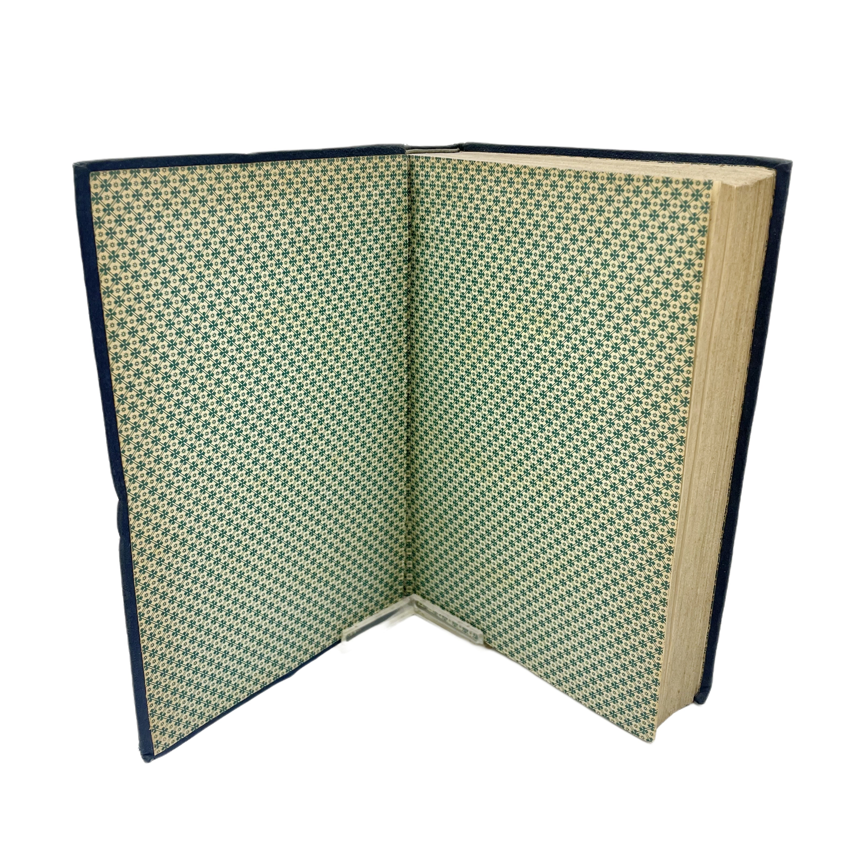 DICCIONARIO HISTÓRICO-GEOGRÁFICO-DESCRIPTIVO DE LOS PUEBLOS, VALLES, PARTIDOS, ALCALDÍAS Y UNIONES DE GUIPÚZCOA CON UN APÉNDICE DE LAS CARTAS-PUEBLAS Y OTROS DOCUMENTOS IMPORTANTES.