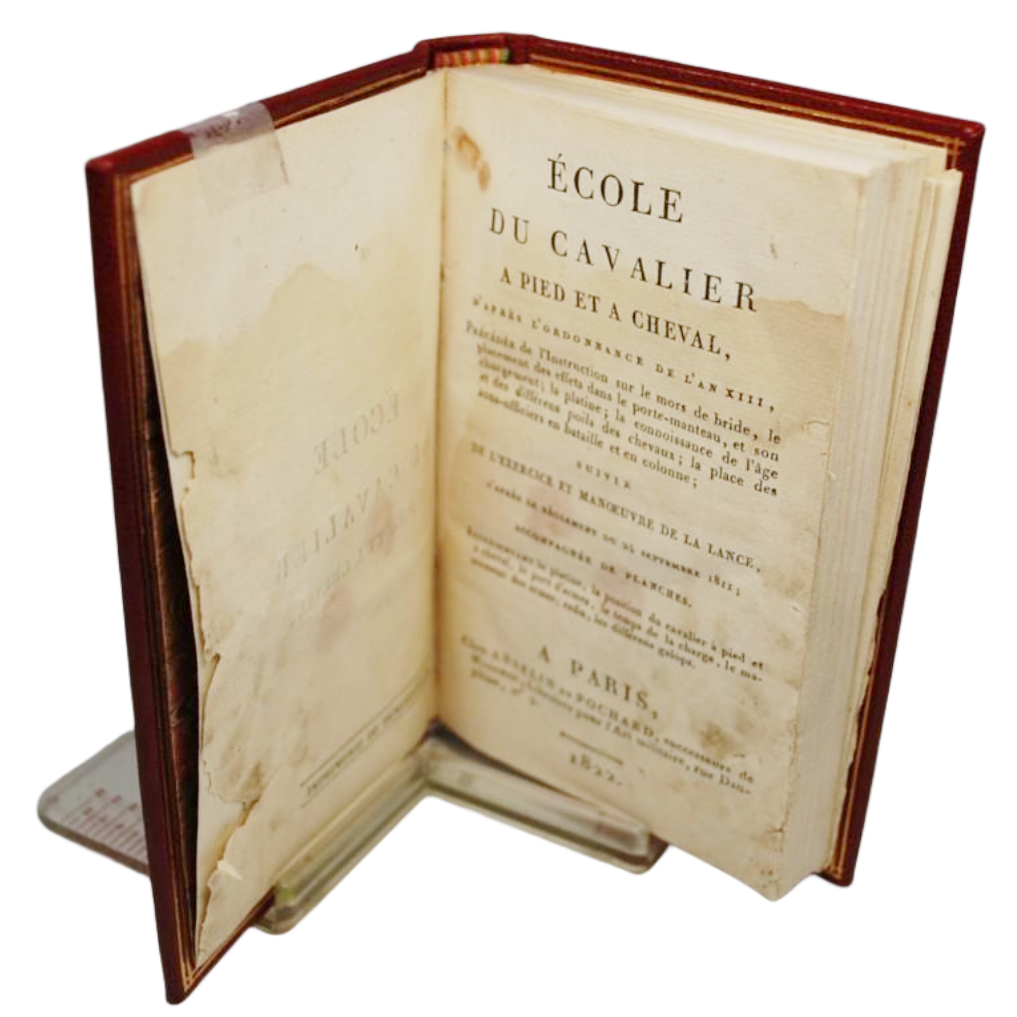 ECOLE DU CAVALIER A PIED ET A CHEVAL