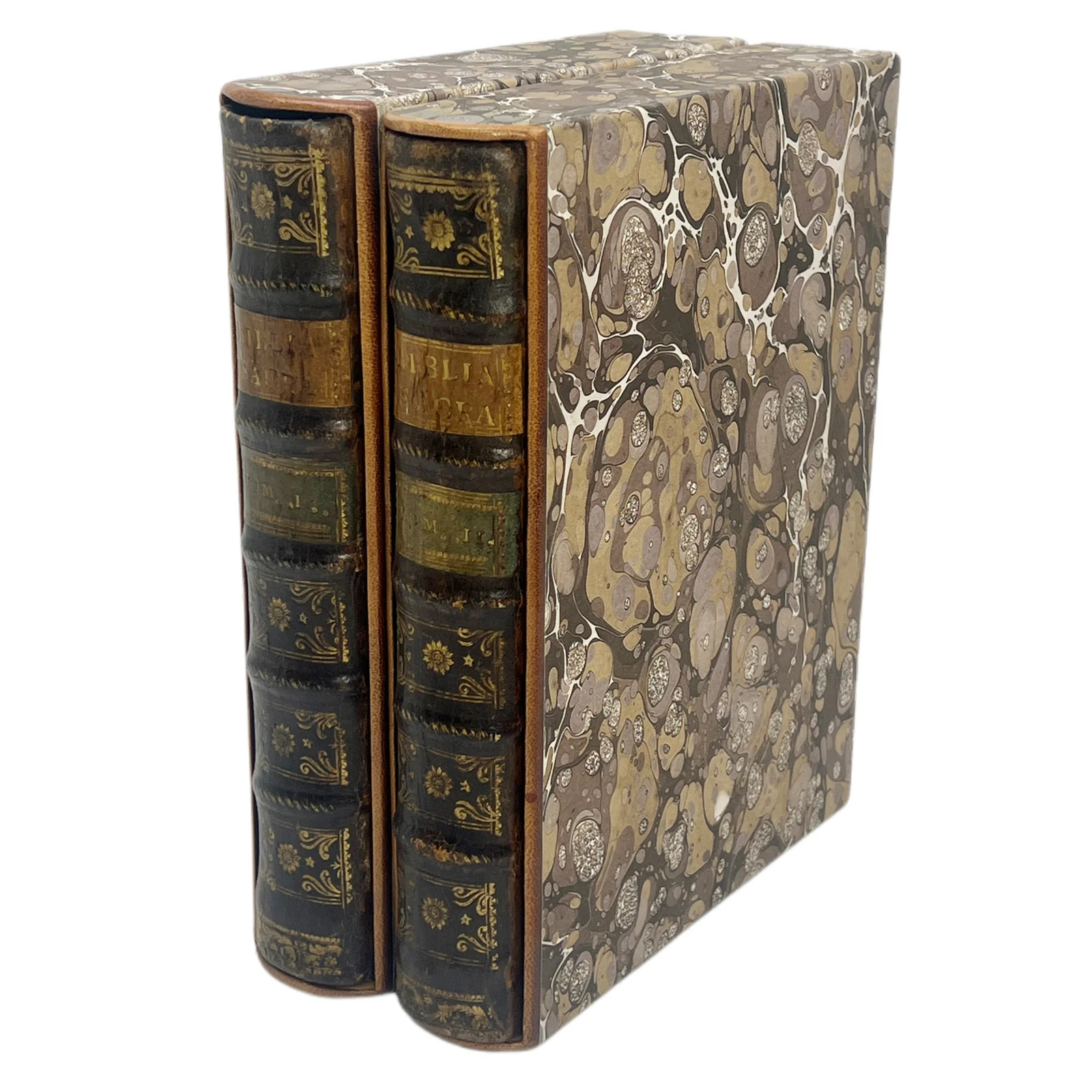 BIBLIA SACRA: VULGATA EDITIONIS. SIXTI V. PONT. MAX IUSSU RECOGNITA ET CLEMENTIS VIII AUCTORITATE EDITA; NUNC AUTEM CXXXX FIGURIS NOVITER INVENTIS & IN AESINCIS IS ILLUSTRATA A DE BRIJ...