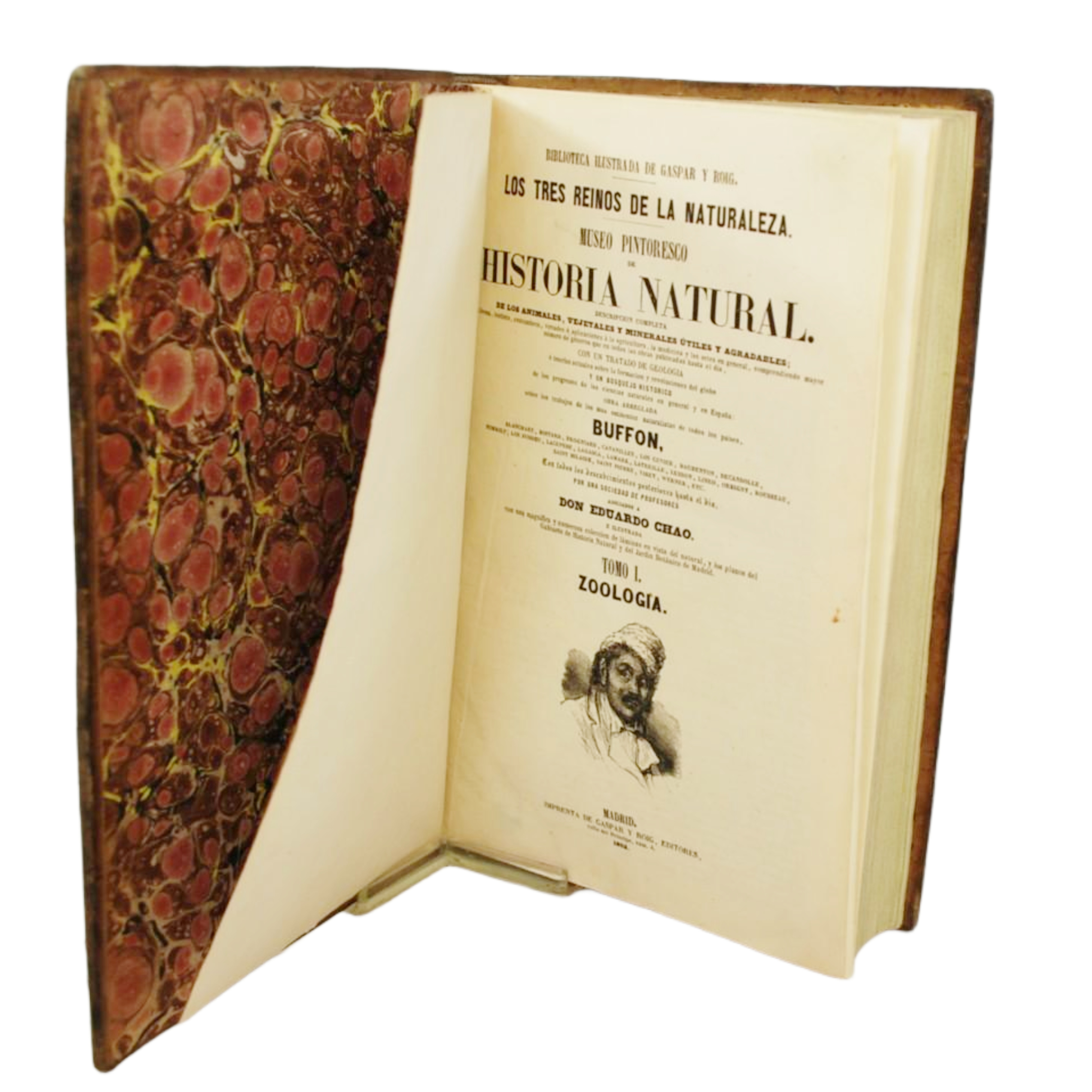 LOS TRES REINOS DE LA NATURALEZA. MUSEO PINTORESCO DE HISTORIA NATURAL. DESCRIPCIÓN COMPLETA DE LOS ANIMALES, VEGETALES Y MINERALES ÚTILES Y AGRADABLES. CON UN TRATADO DE GEOLOGÍA. Y UN BOSQUEJO HISTÓRICO .....