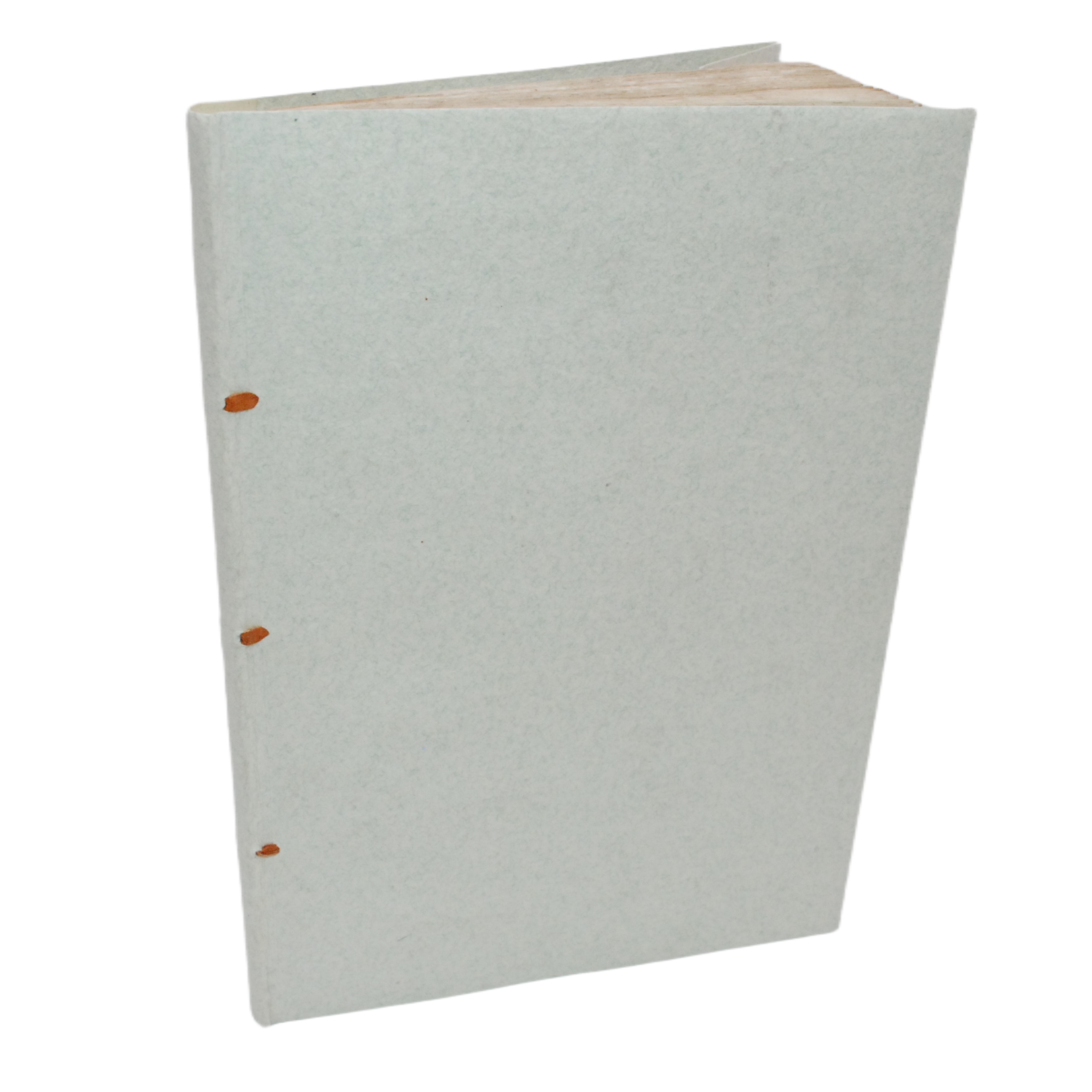 ANÓNIMO - PROHIBICIÓN DE TRAER MULAS EN LOS COCHES Y OTROS CAPÍTULOS DE POLÍTICA DEL REINO DE CARLOS II.- 1678