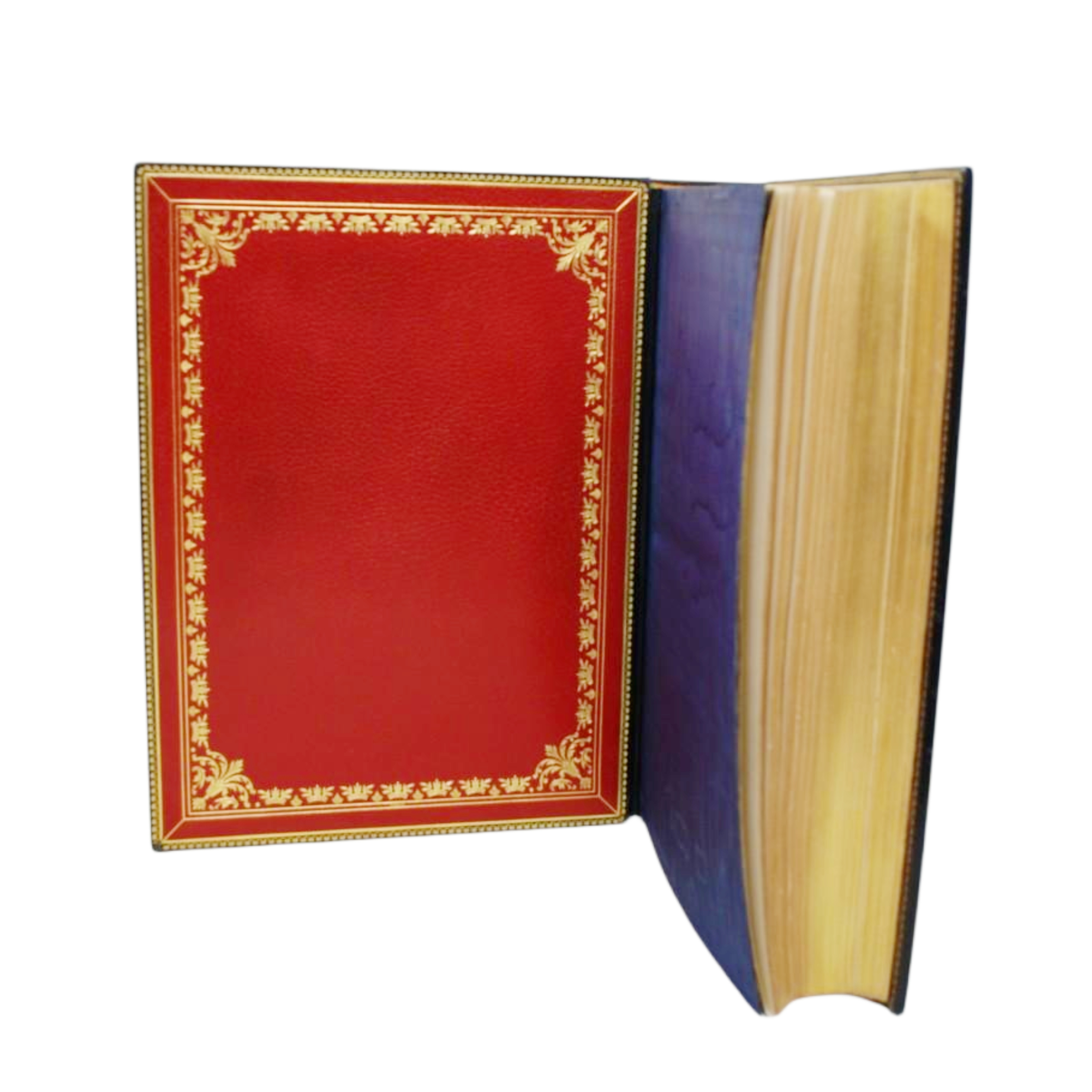 LES GRANDES SANCTUARIES DE LA TRÈS SAINTE VIERGE EN FRANCE PAR LE R.P. FRED. ROUVIER DE LA COMPAGNIE DE JESÚS