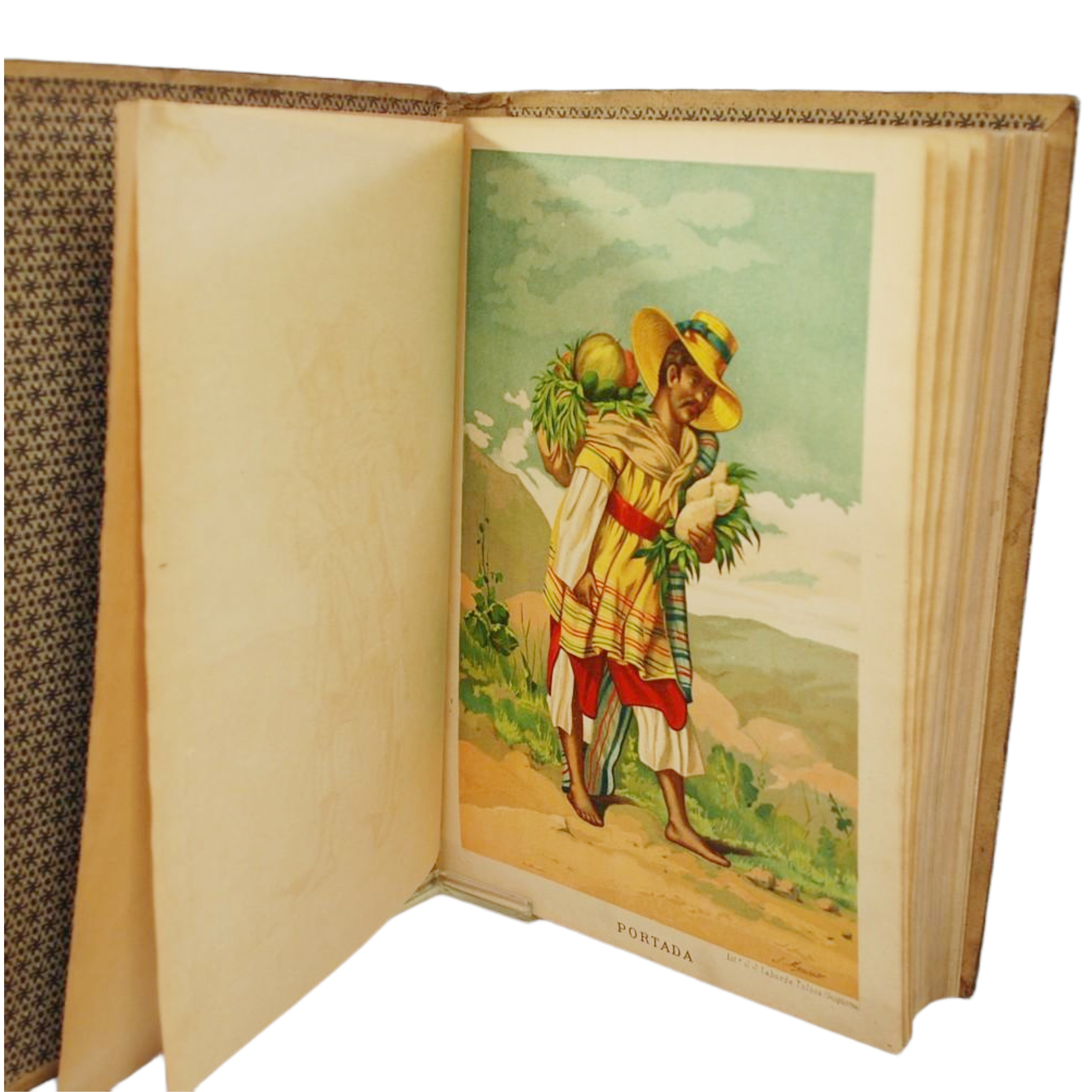 LA NATURALEZA. HISTORIA NATURAL DEL PLANETA TIERRA CON LA DESCRIPCIÓN DE LOS SERES ORGÁNICOS QUE LA PUEBLAN Y LOS INORGÁNICOS QUE FORMAN SU MASA, COMPRENDIENDO LA ANTROPOLOGÍA, ZOOLOGÍA, BOTÁNICA, GEOLOGÍA Y MINERALOGÍA, ...