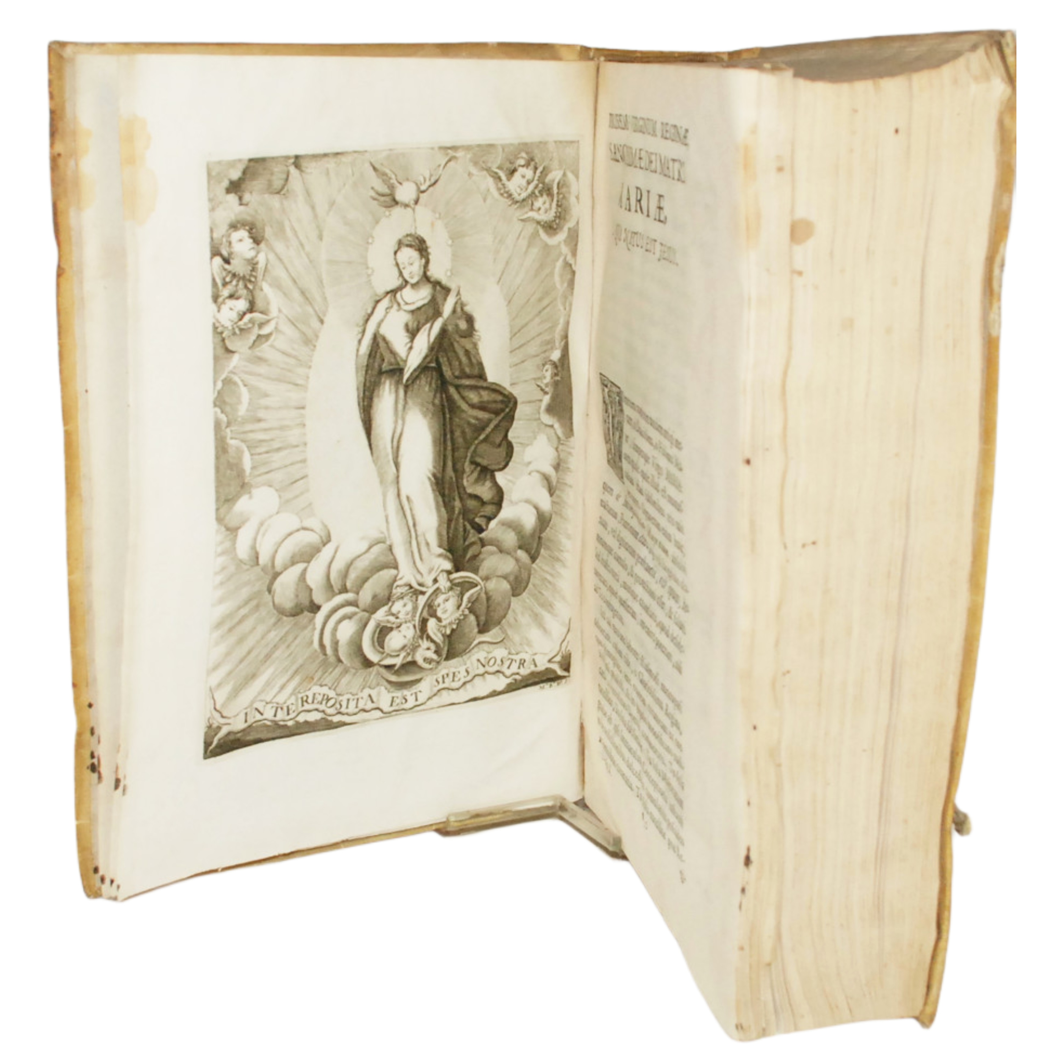 D.D. JOSEPHI EMMANUELIS DE ROXAS ET ALMANSA J.C. GRANATENSIS, ... TRACTATUS UNICUS DE INCOMPATIBILITATE ET REPUGNANTIA POSSIDENDI PLURES MAJORATUS, DEQUE NATURA, ET COGNITIONE UNIUSCUJUSQUE SPECIEI EORUM