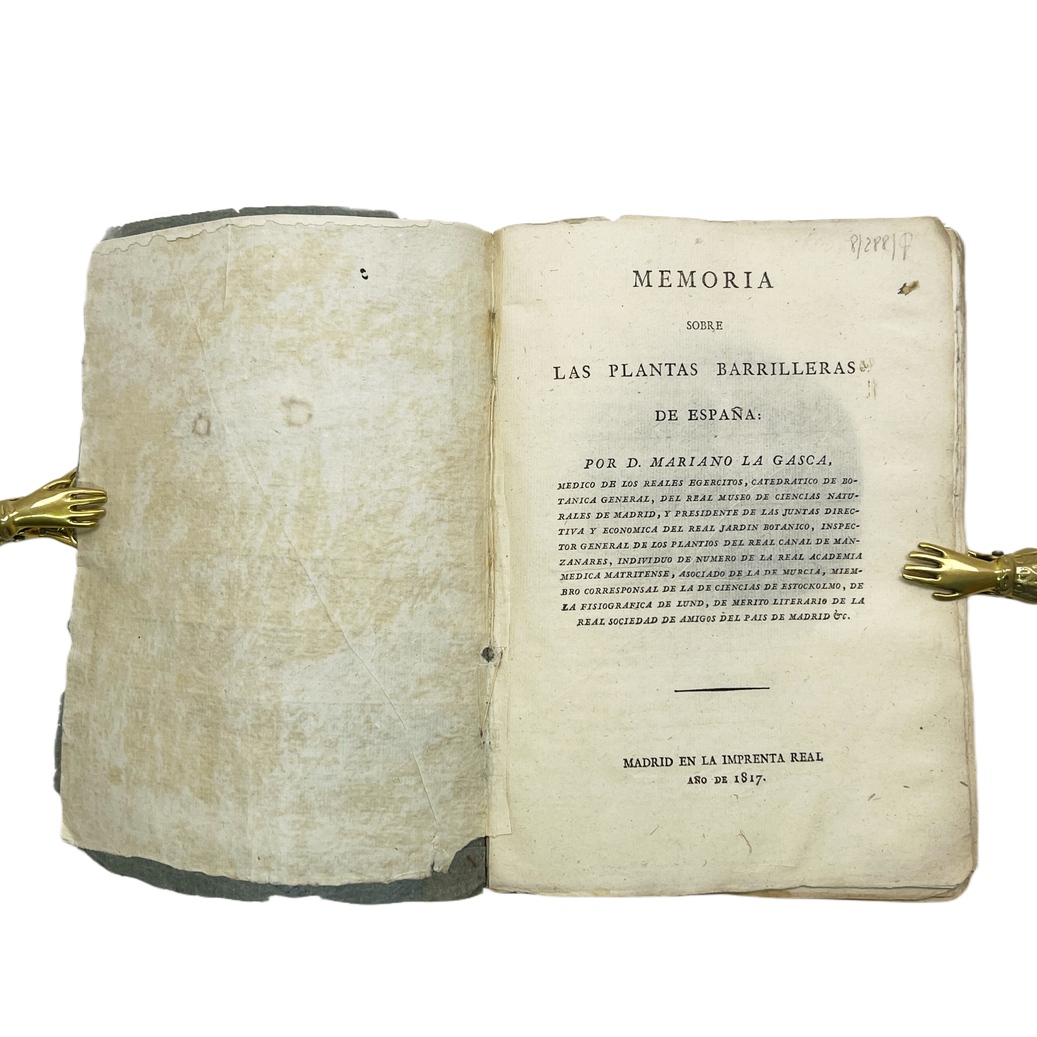 MEMORIA SOBRE LAS PLANTAS BARRILLERAS DE ESPAÑA: / POR D. MARIANO LA GASCA, MÉDICO DE LOS REALES EGERCITOS [SIC], CATEDRATICO DE BOTANICA GENERAL, DEL REAL MUSEO DE CIENCIAS NATURALES DE MADRID, Y PRESIDENTE DE LAS JUNTAS DIRECTIVA Y ECONOMICA DEL RE