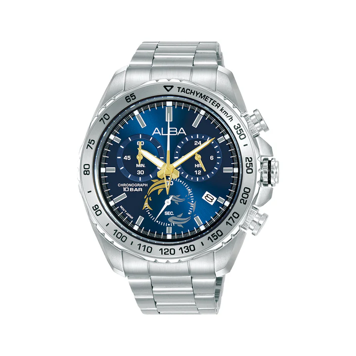 Alba Chronograph Stainless Steel Watch