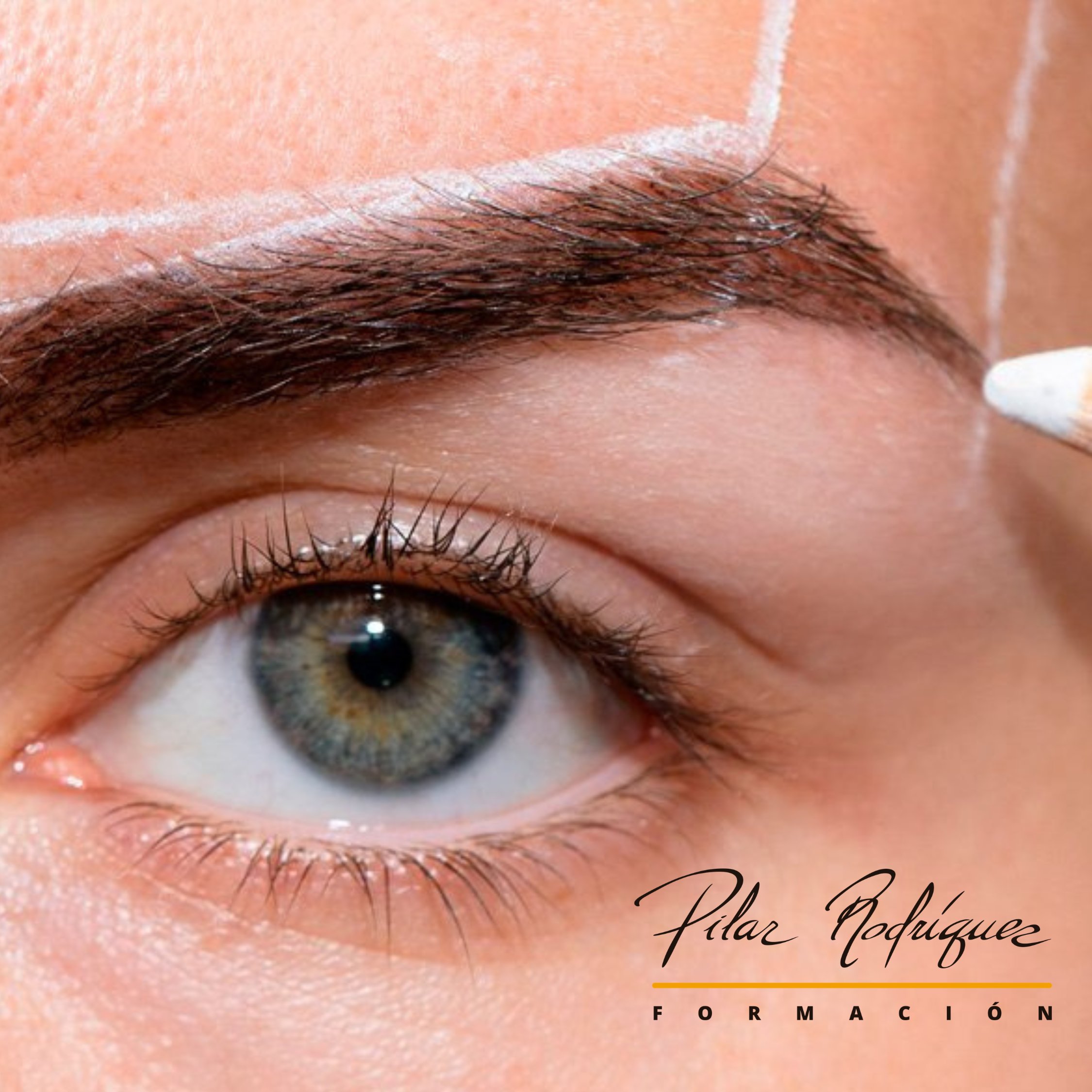Curso Diseño de Cejas