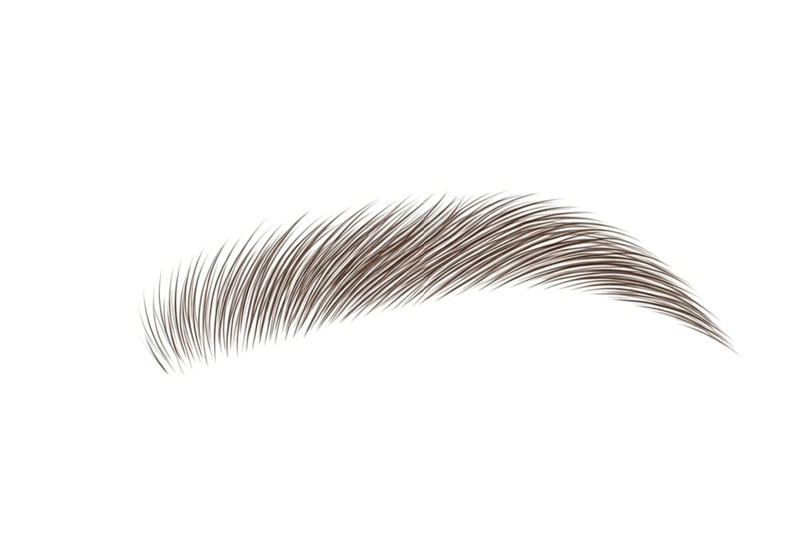 Eyebrow Lamination & Keratine