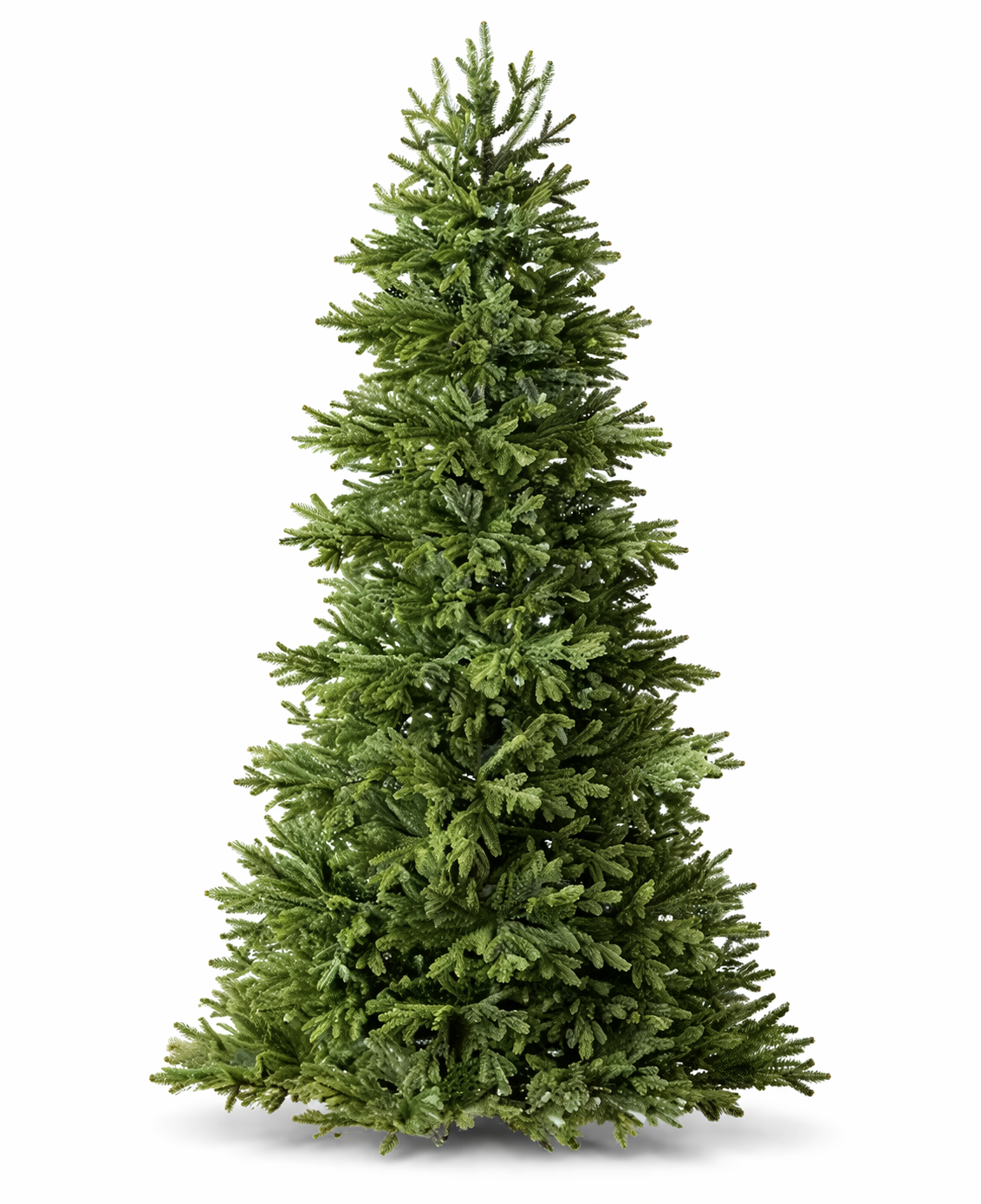 Balsam Hill Norway Spruce 6.5Ft Led Lit Christmas Tree 