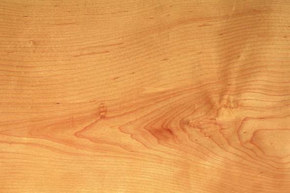 Maple Wood Panel