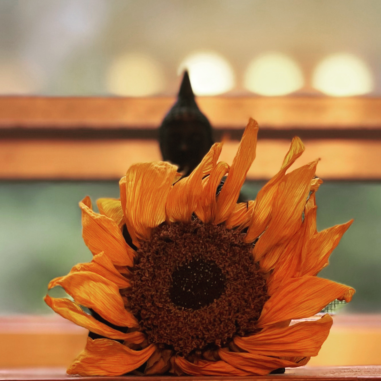 Styling Sacred Space