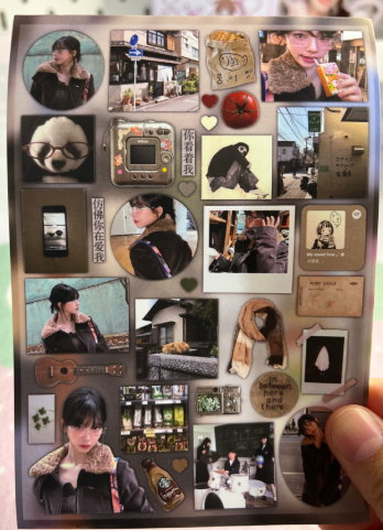 Brown Karina Sticker sheet