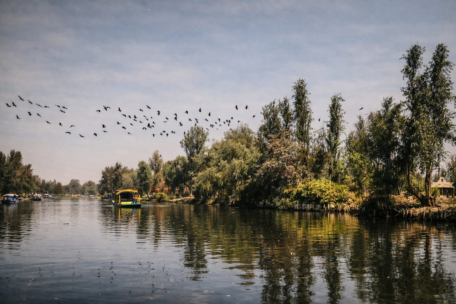 Recorrido en trajinera tradicional