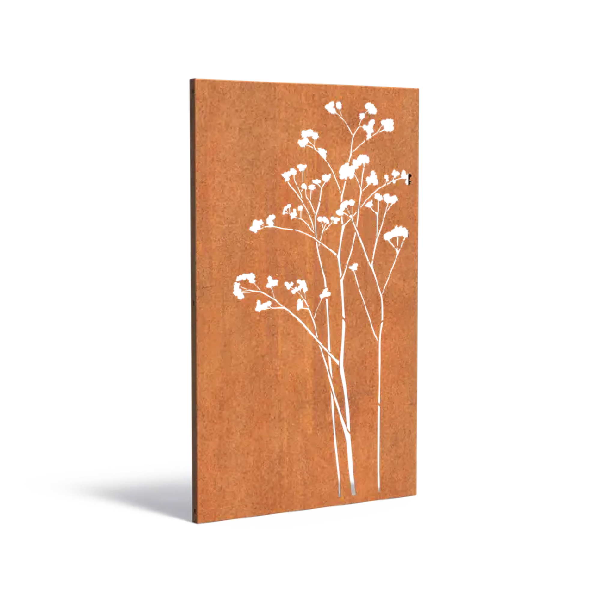 CORTEN PLIENO PANELĖS