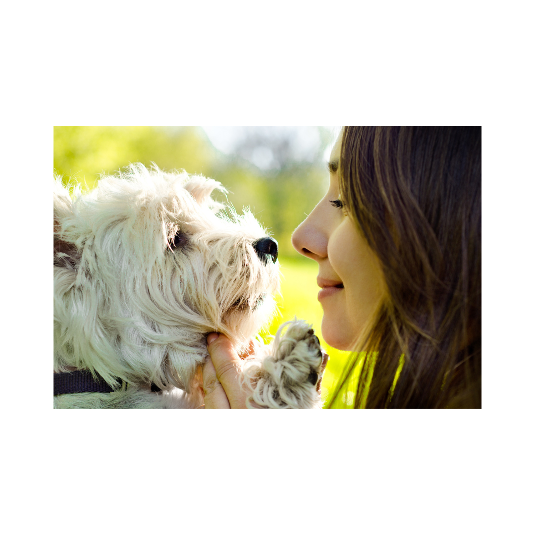 Heilraum für Zwei  ❤️💚  Intensive 1:1-Begleitung 