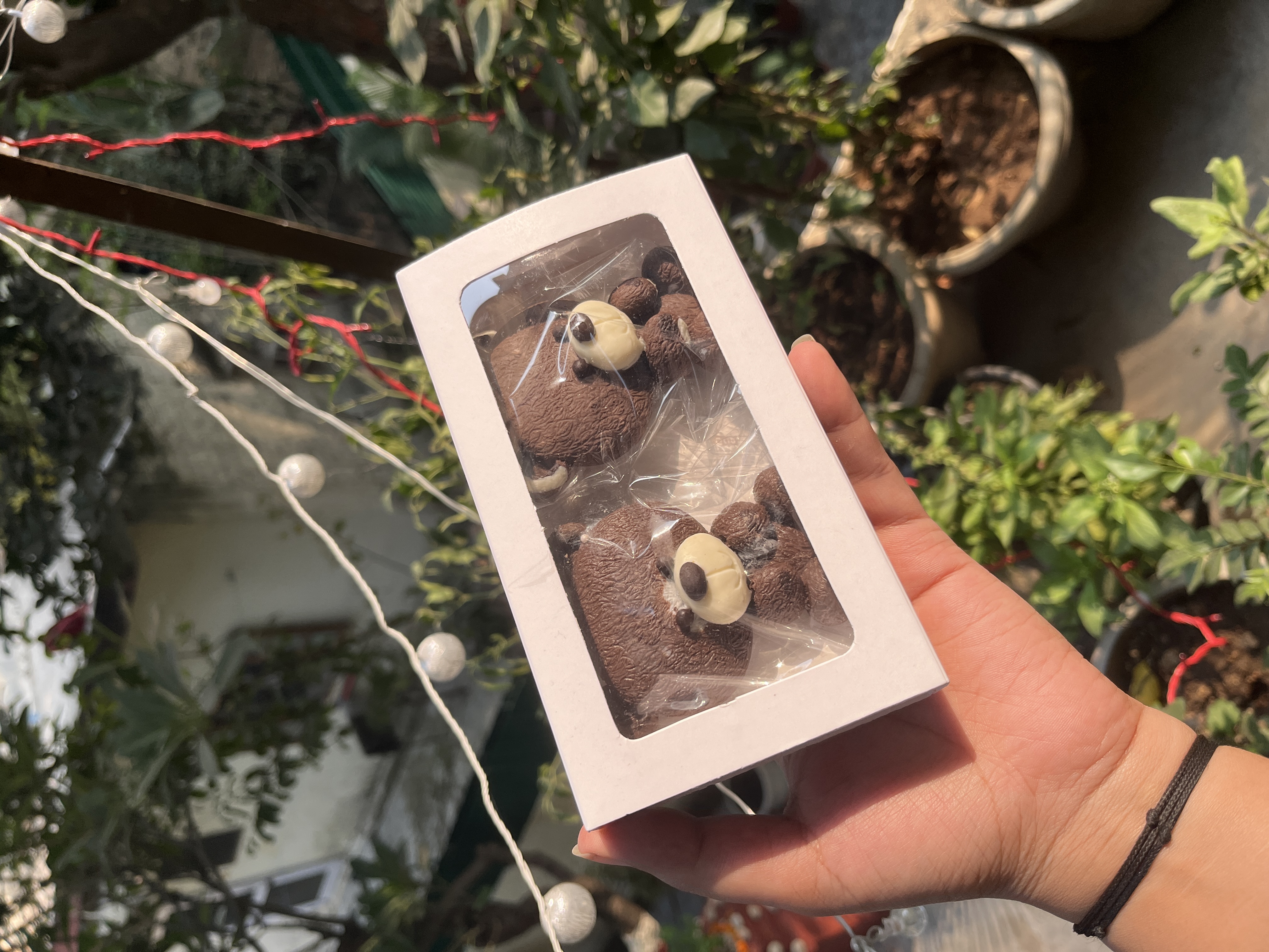 Twin Teddy 3D Chocolate Box 🧸🍫