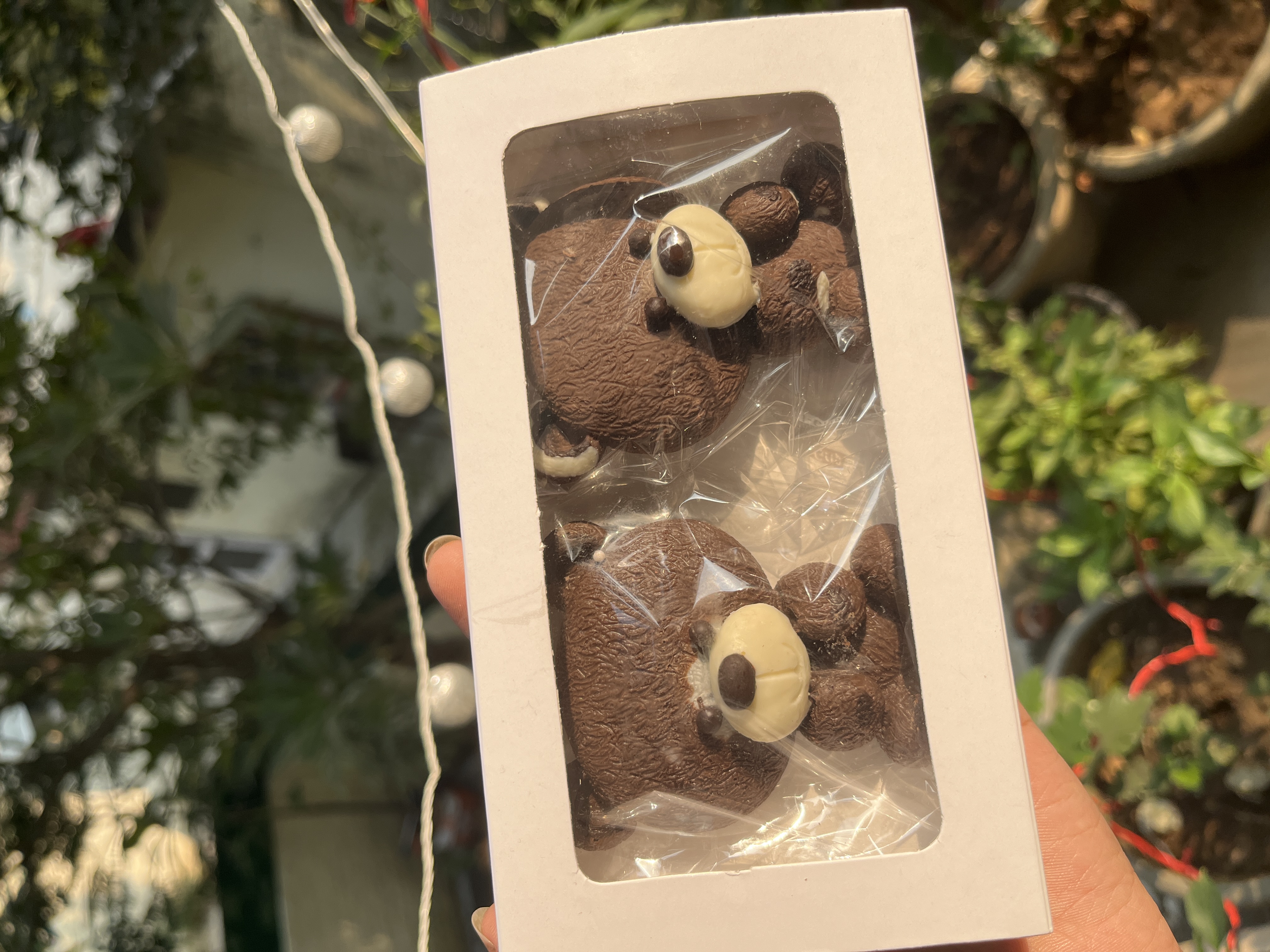 Twin Teddy 3D Chocolate Box 🧸🍫