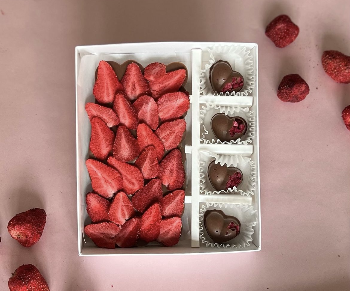 Strawberry / dRY Fruit Chocolate Gift Box