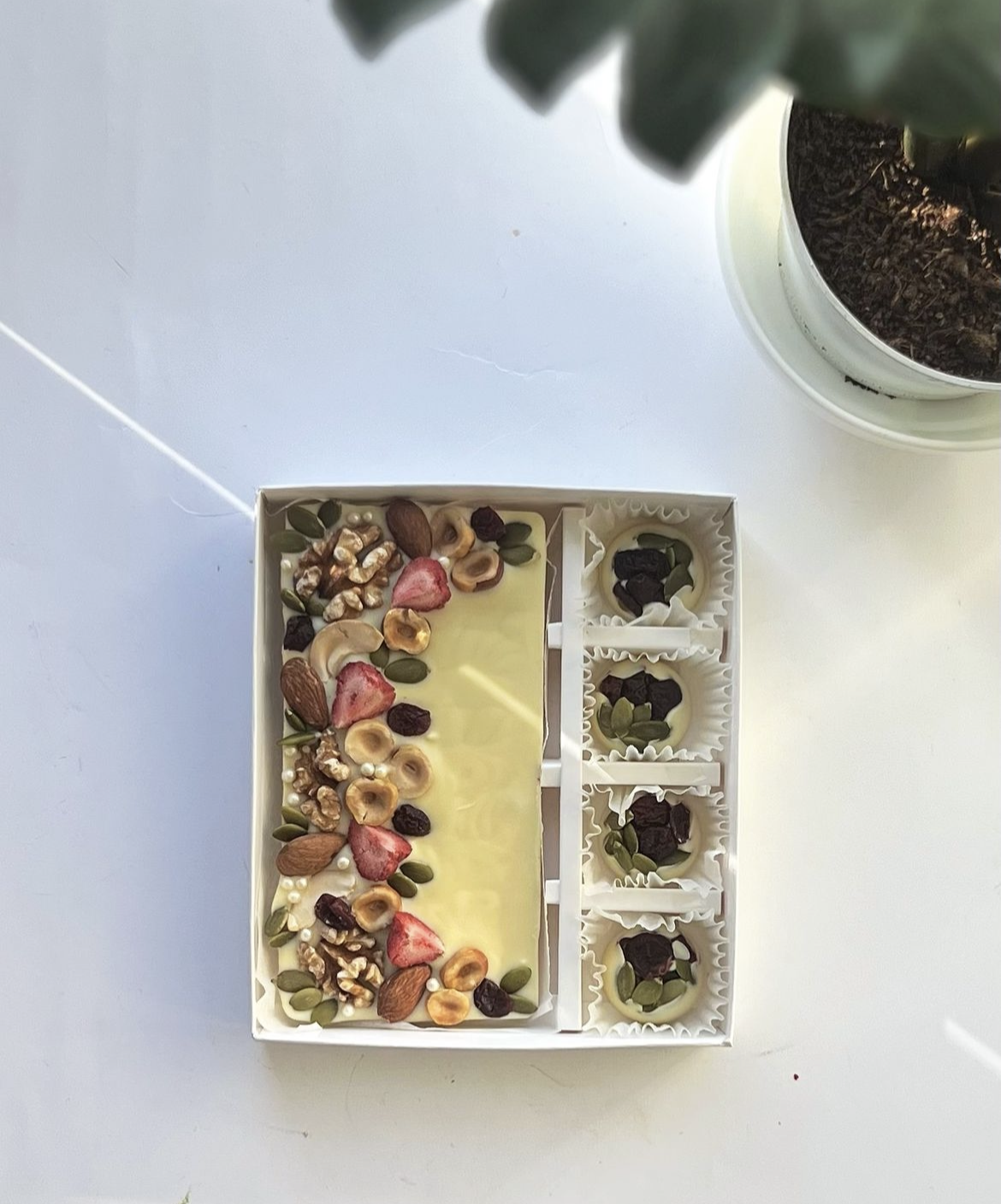 Strawberry / dRY Fruit Chocolate Gift Box