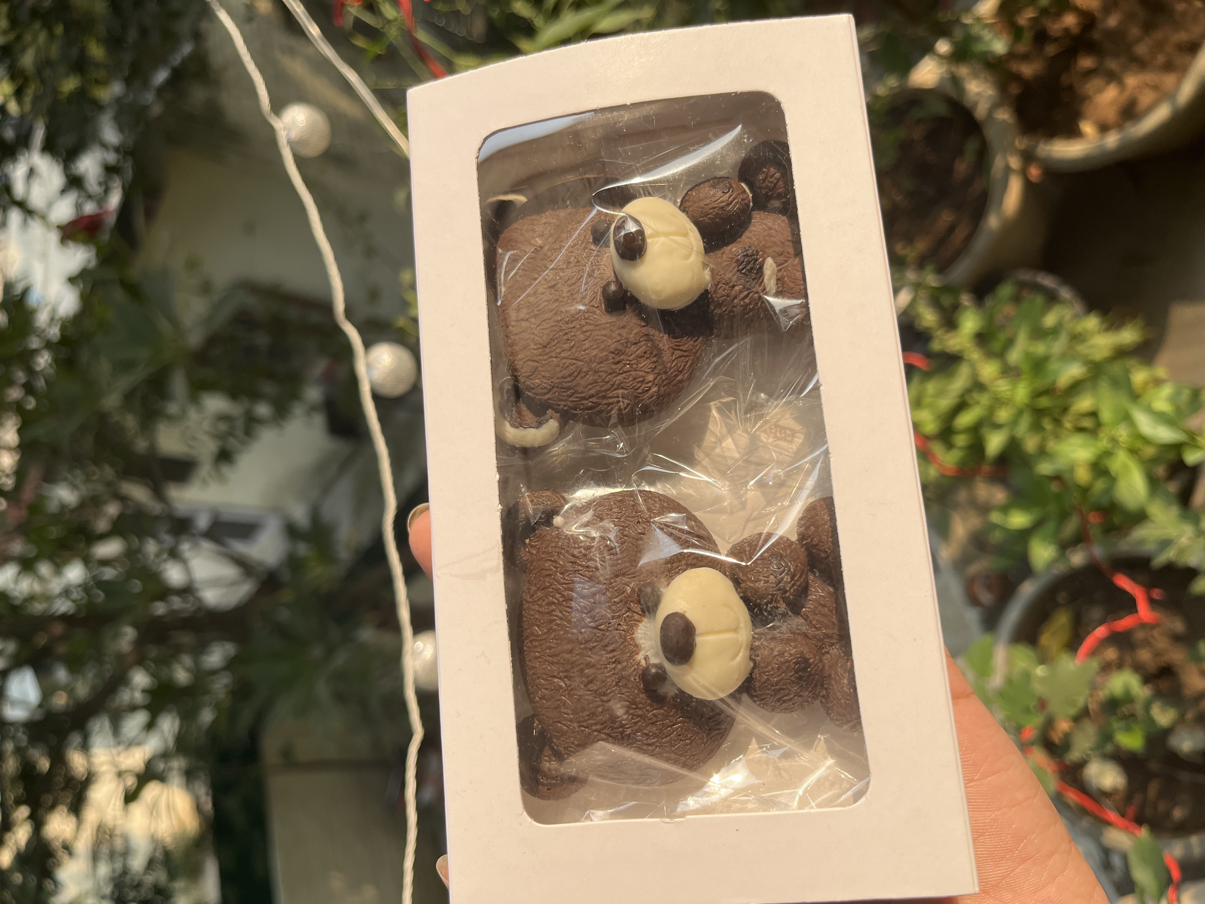 Twin Teddy 3D Chocolate Box 🧸🍫