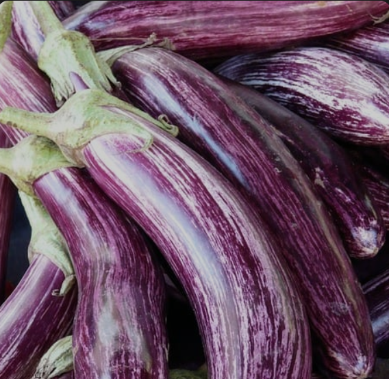 BRINJAL LONG