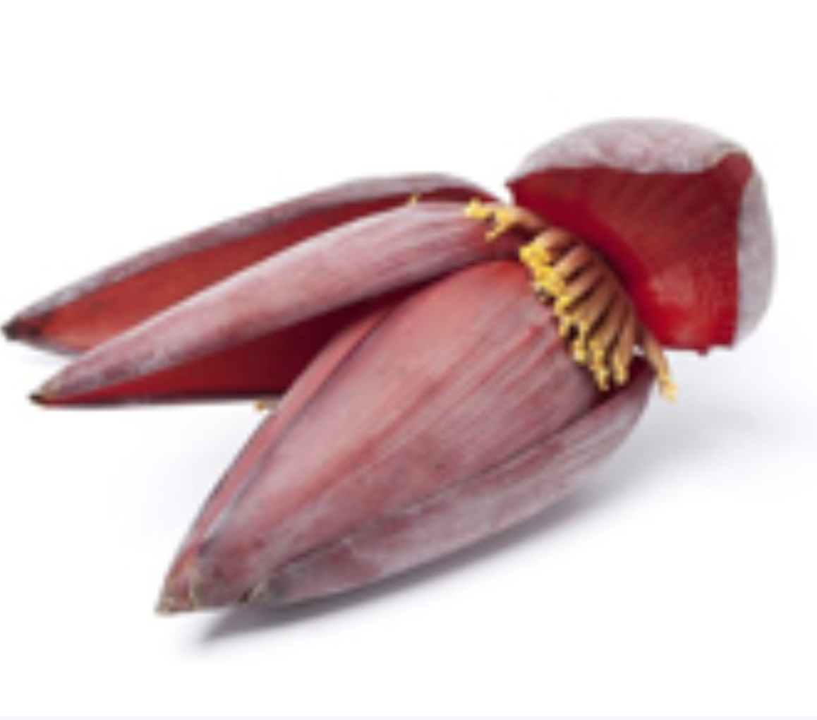 BANANA FLOWER