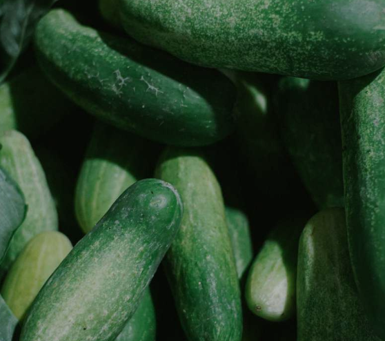 CUCUMBER