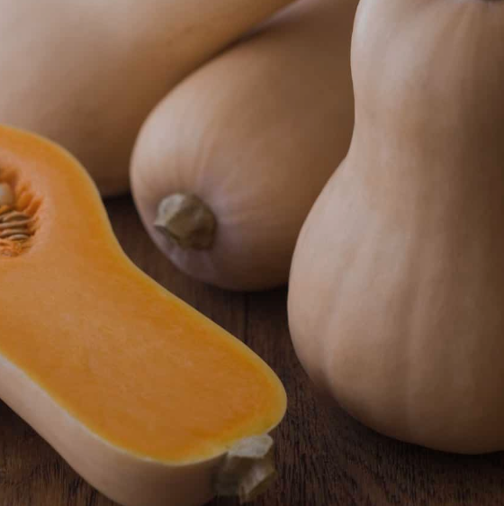 BUTTERNUT SQUASH
