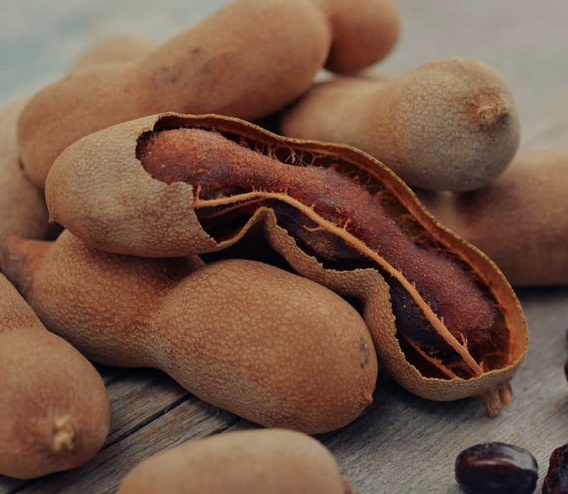 TAMARIND