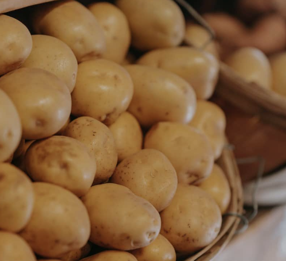 POTATO