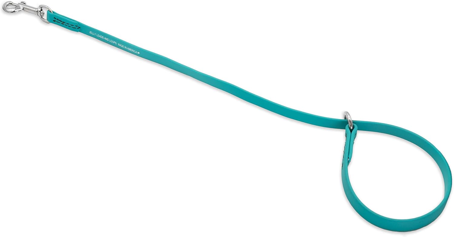 Jelly Pet Grooming Loop Slip Style (1/2" x 30", Teal) | Made in the USA