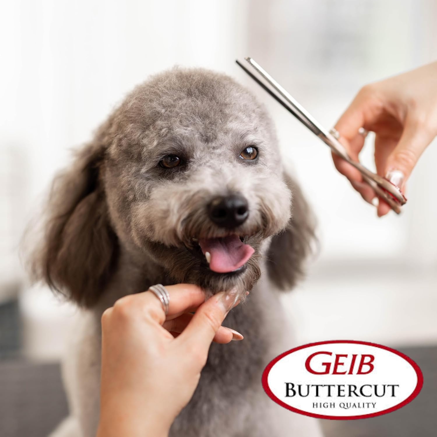Geib Super Gator Stainless Steel Pet Curved Shears with Adjuster, 8-1/2-Inch